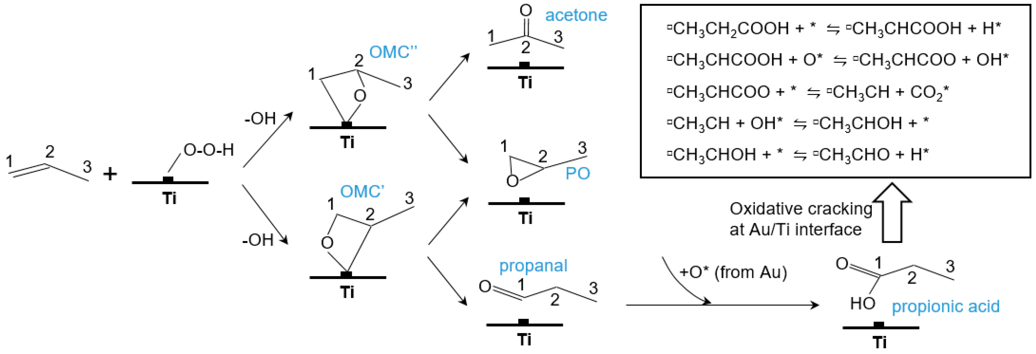 Catalysts 08 00421 g010 Catalysts 08 00421 g010