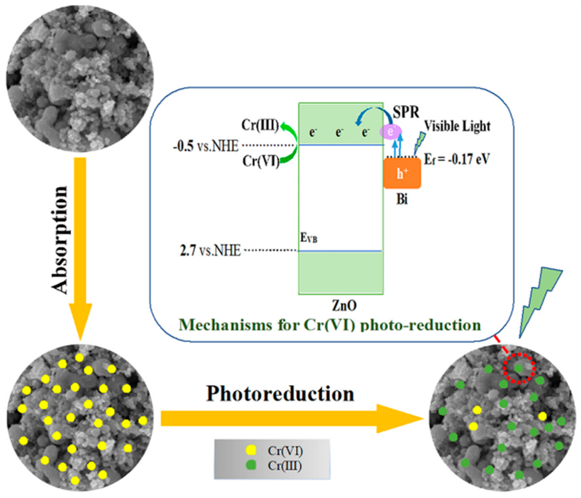 Catalysts 08 00426 g009