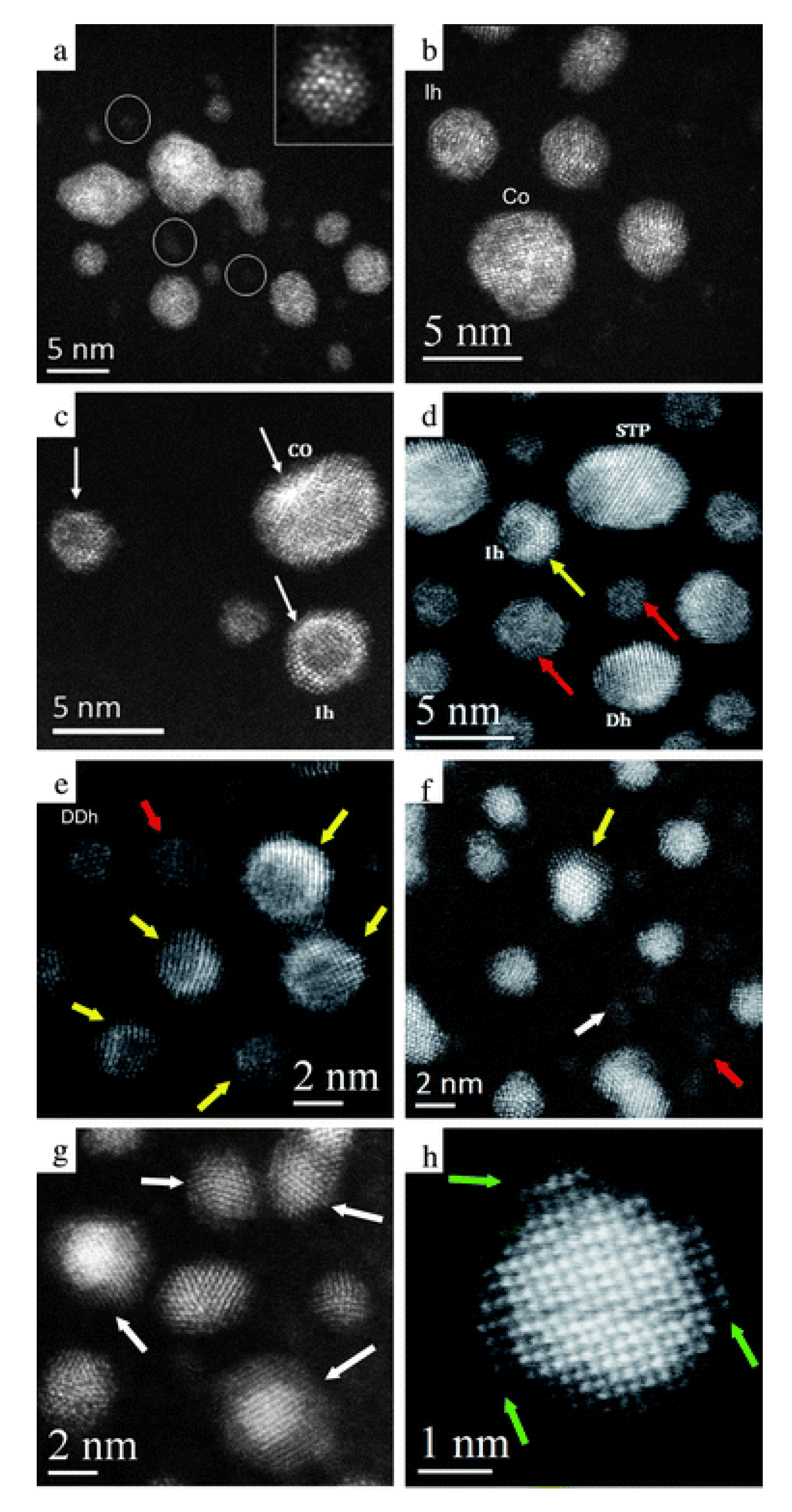 Catalysts 08 00431 g005 Catalysts 08 00431 g005