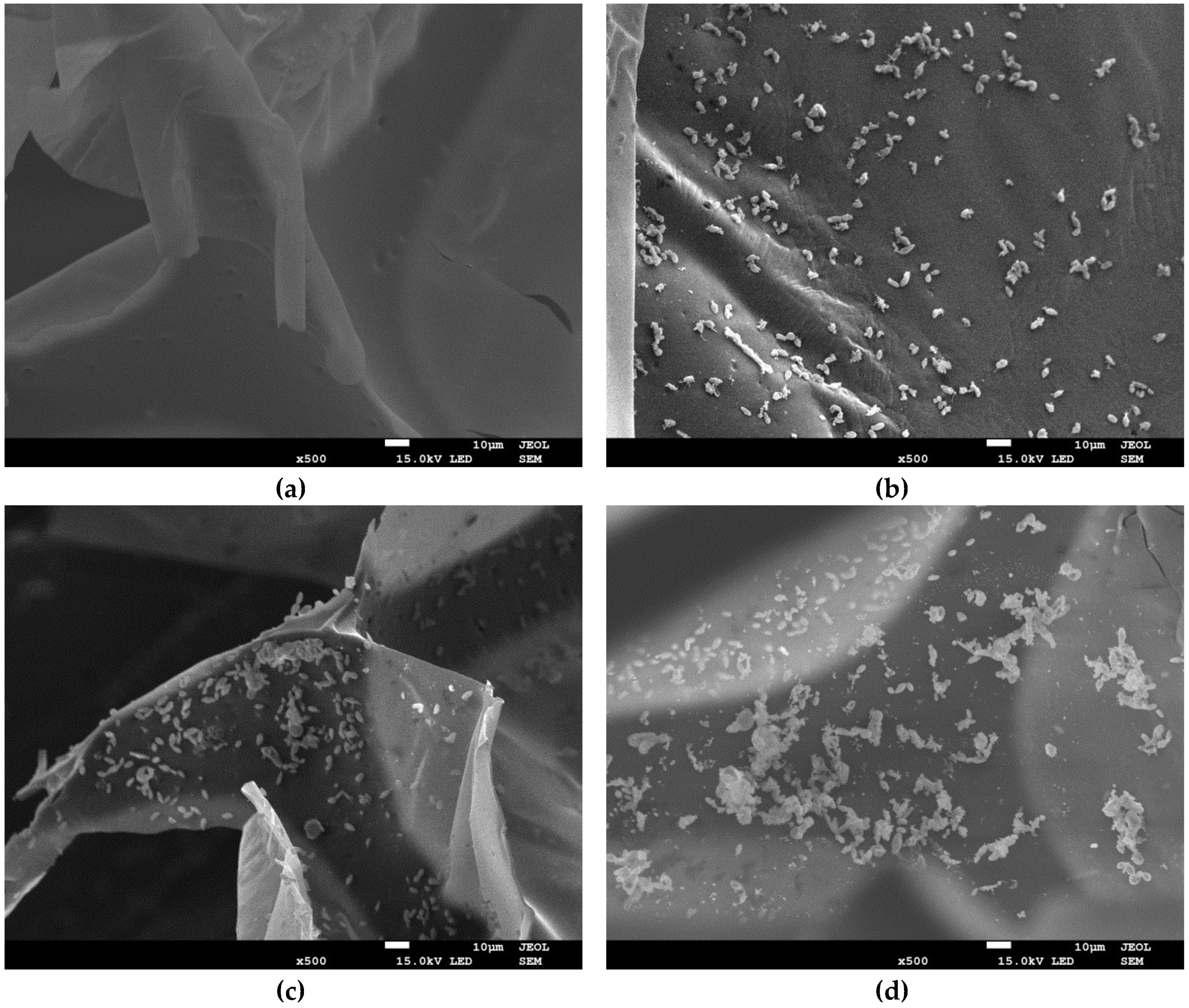 Catalysts 08 00434 g004