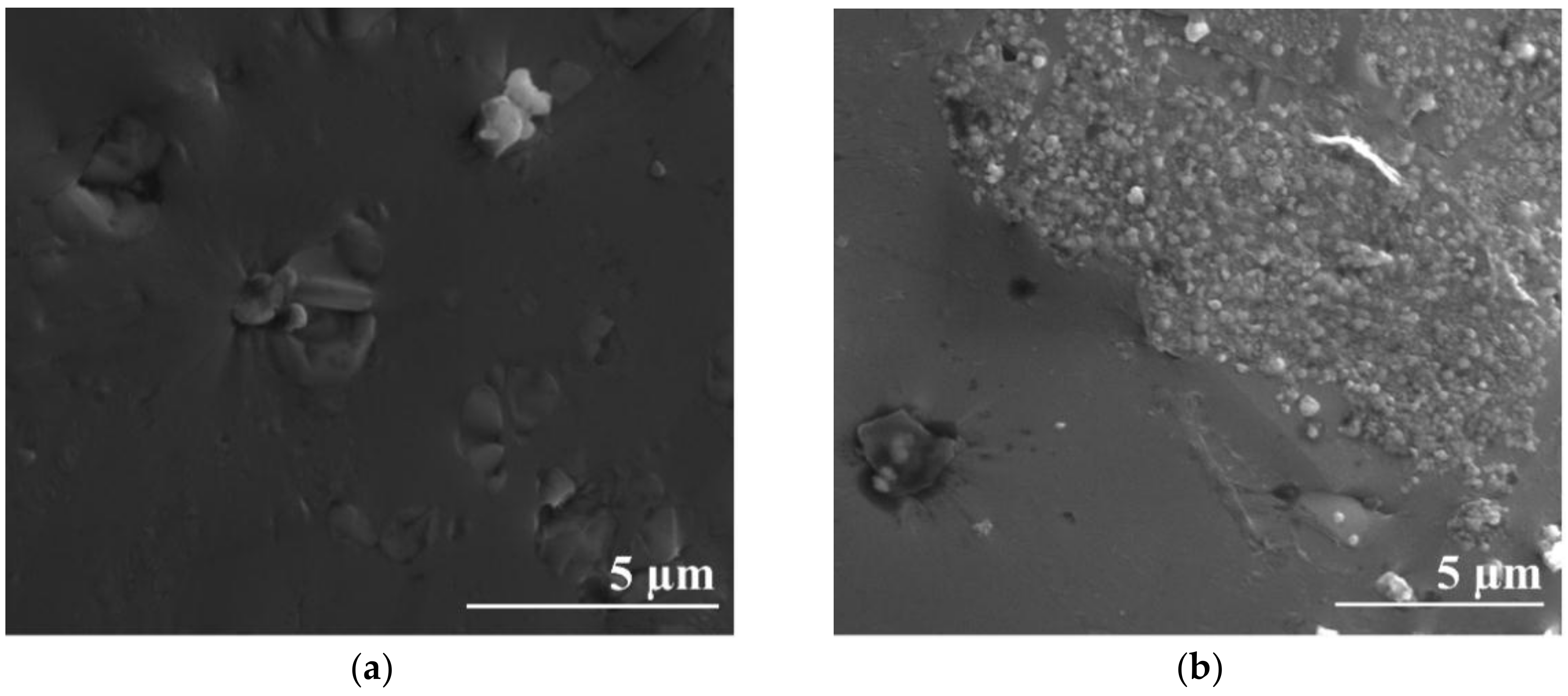 Catalysts 08 00437 g003