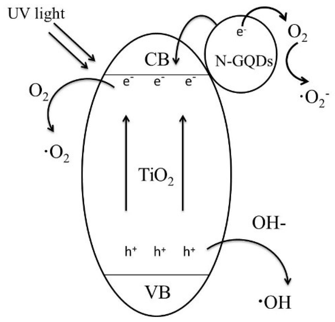 Catalysts 08 00438 sch001