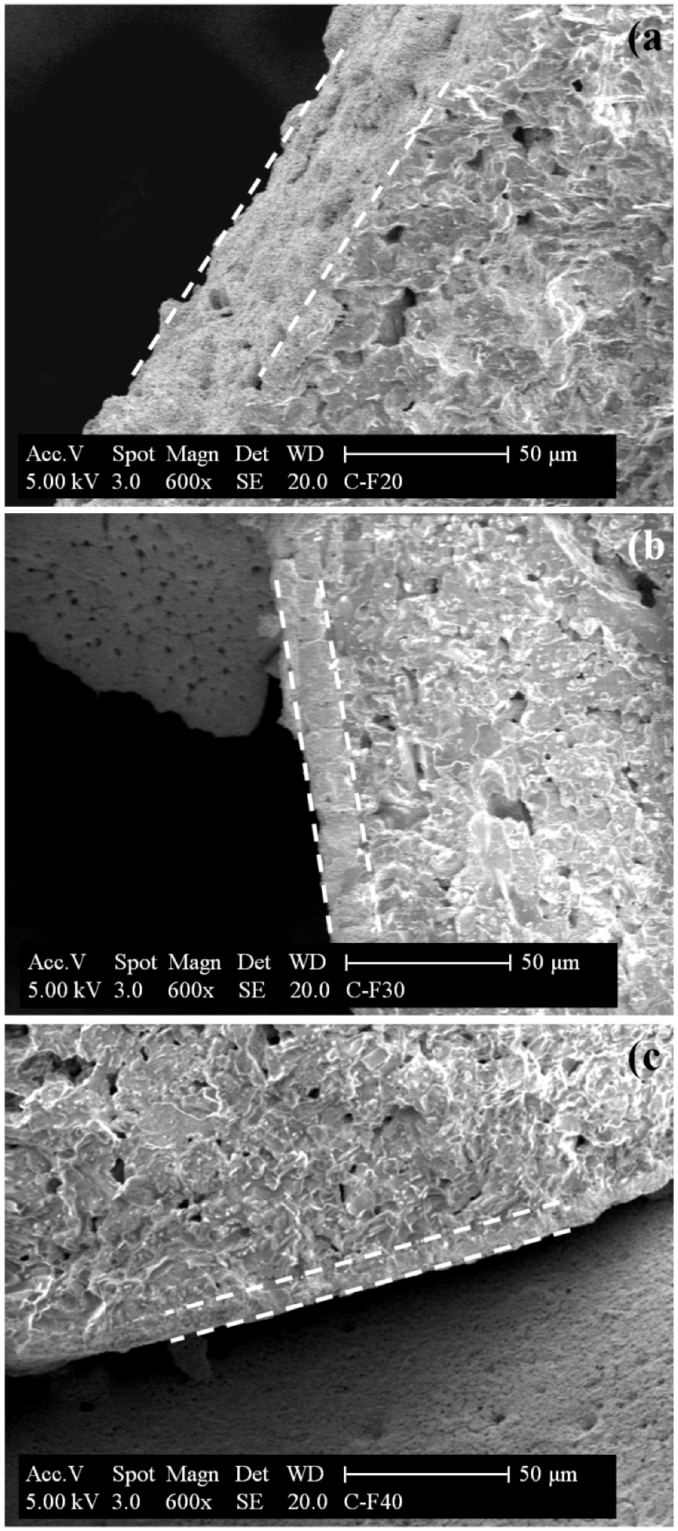 Catalysts 08 00448 g005