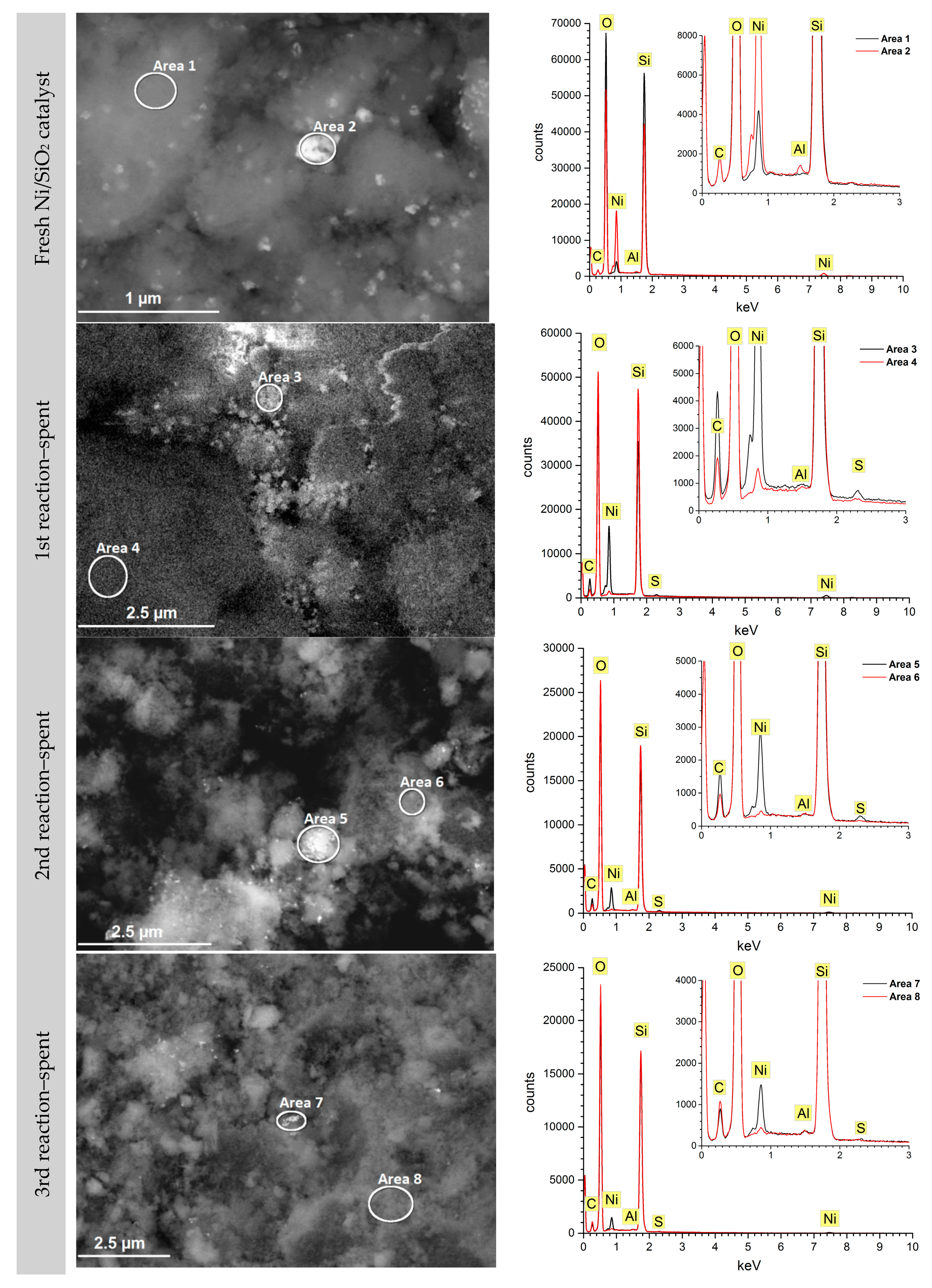 Catalysts 08 00449 g006a