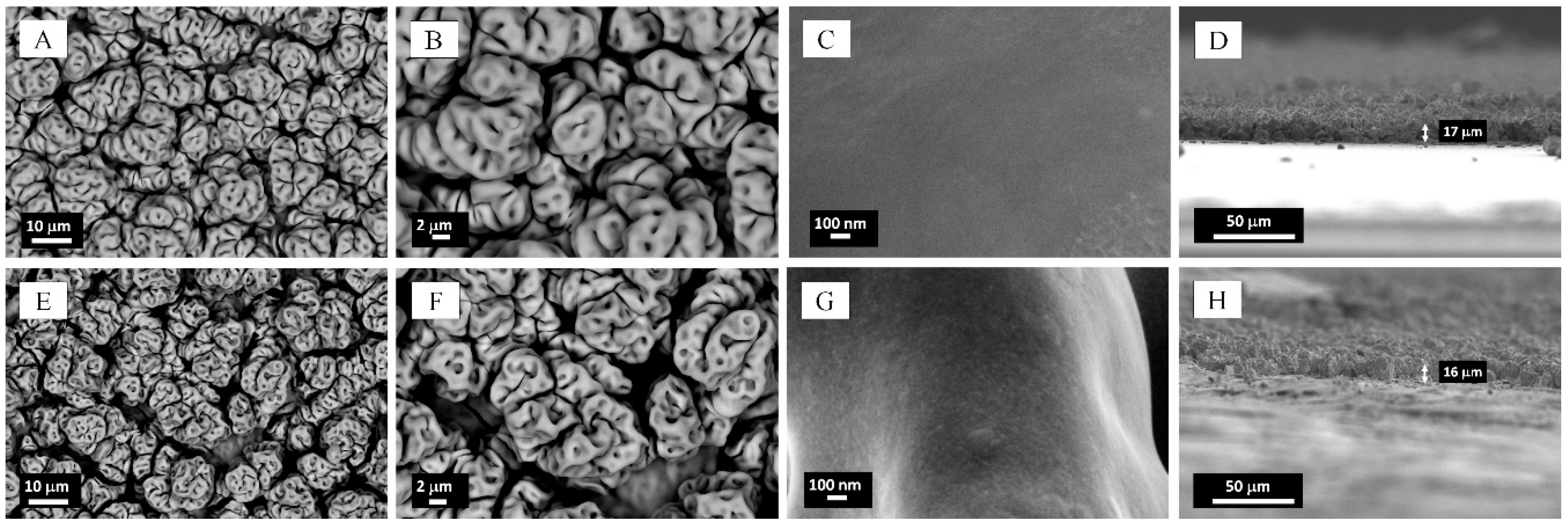 Catalysts 08 00461 g001