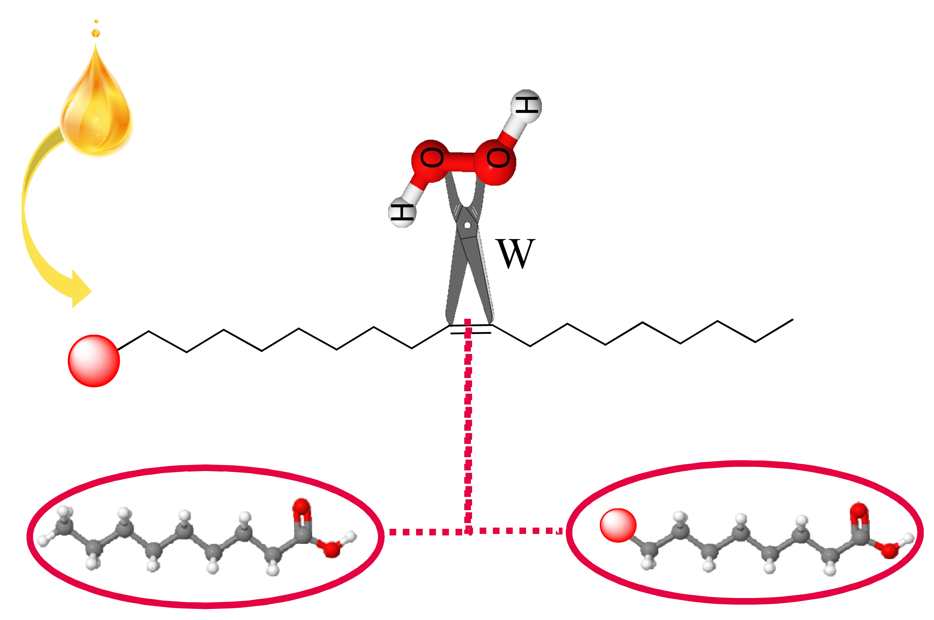Catalysts Free FullText Oxidative Cleavage of Fatty Acid