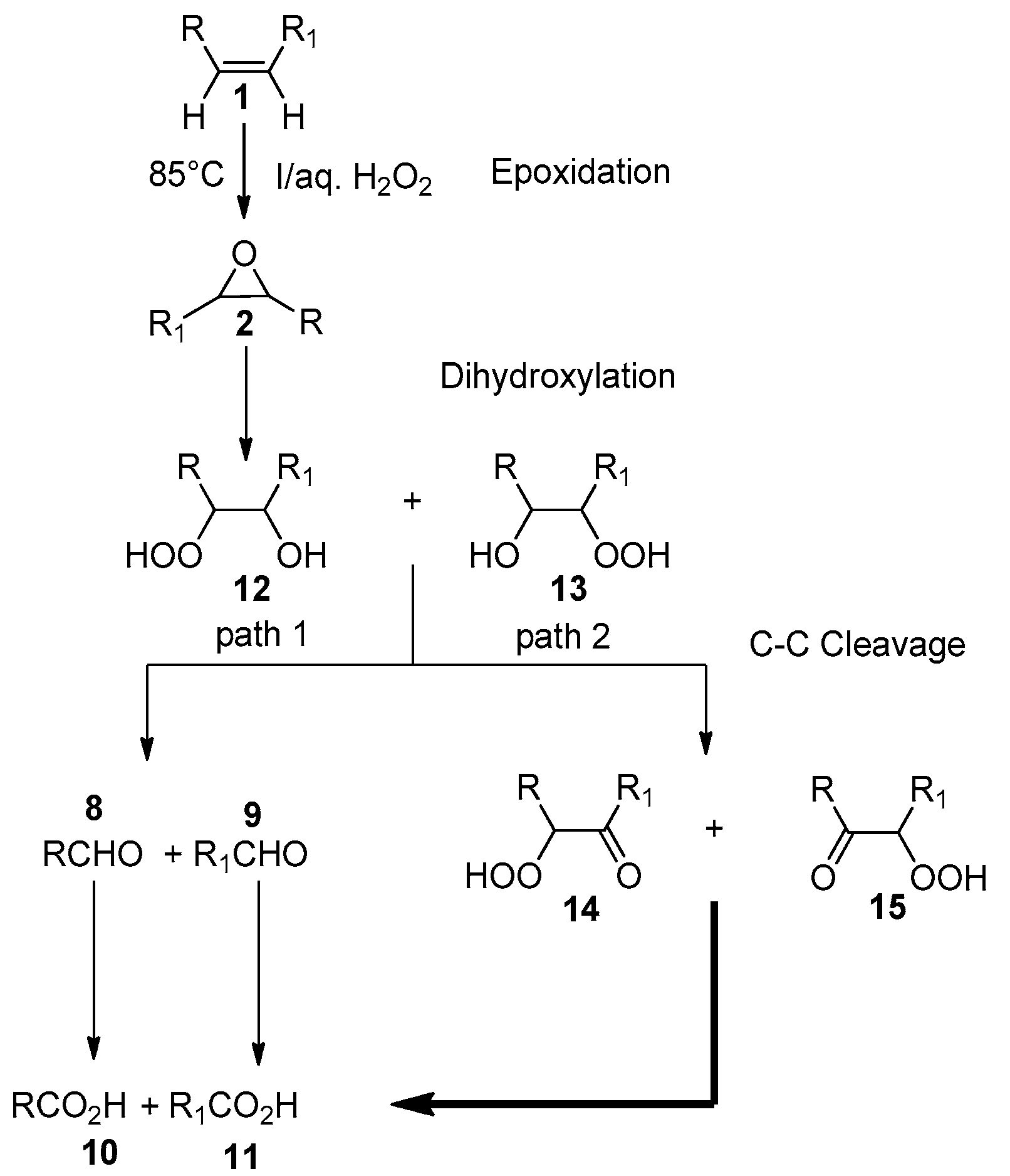 Catalysts 08 00464 g004