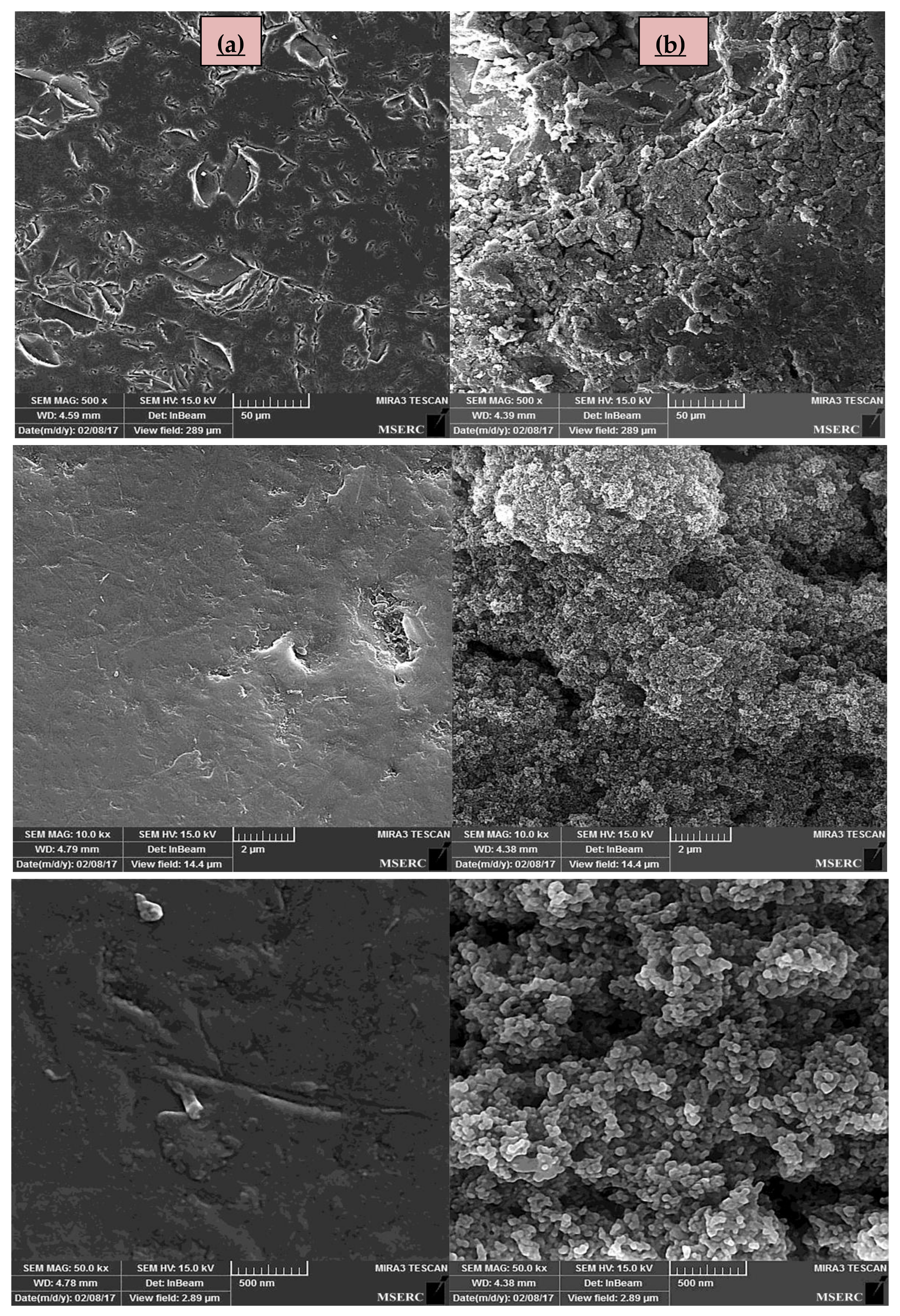 Catalysts 08 00466 g005 Catalysts 08 00466 g005