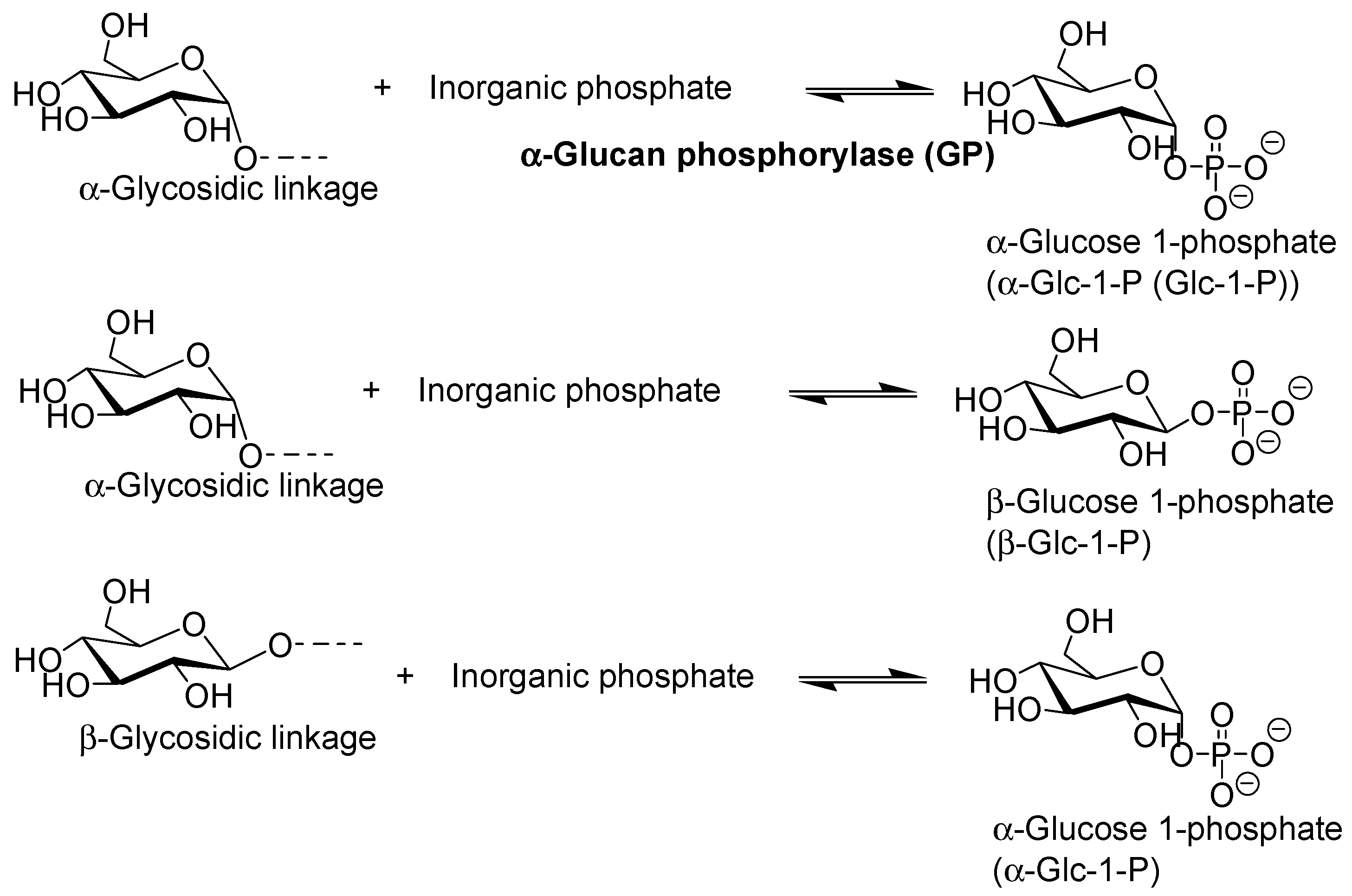 Catalysts 08 00473 g001