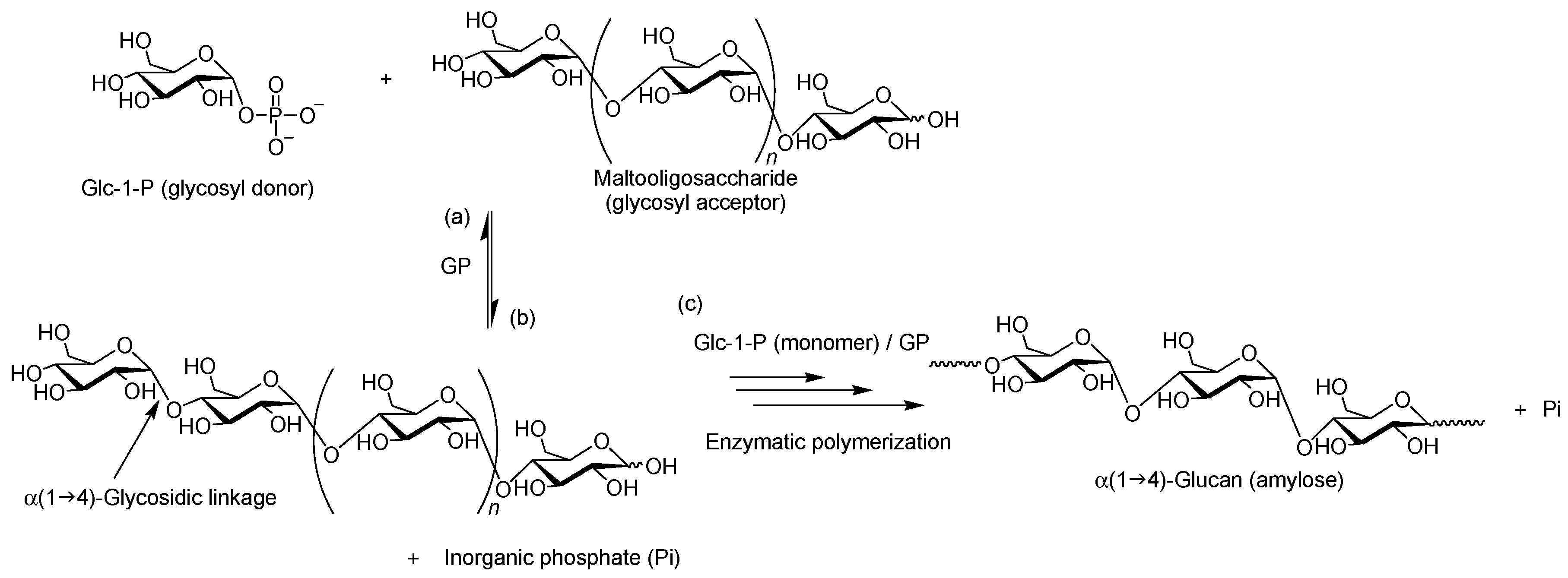 Catalysts 08 00473 g002