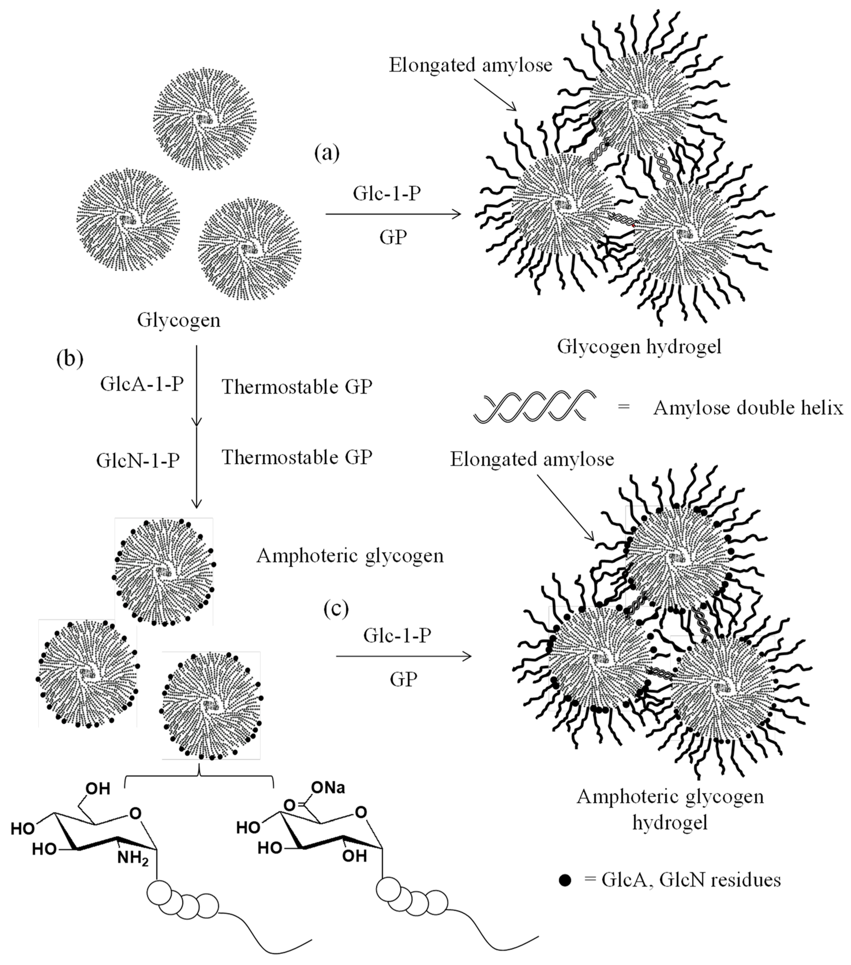 Catalysts 08 00473 g004