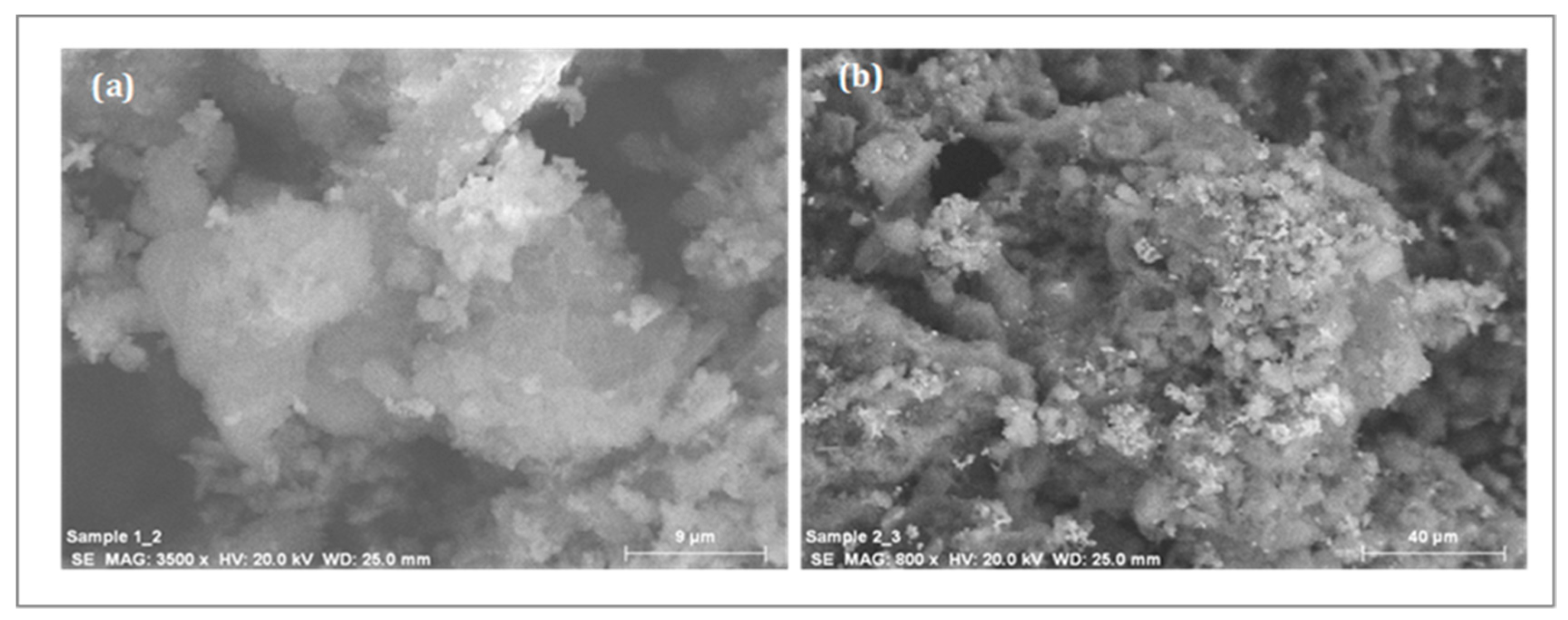 Catalysts 08 00474 g008