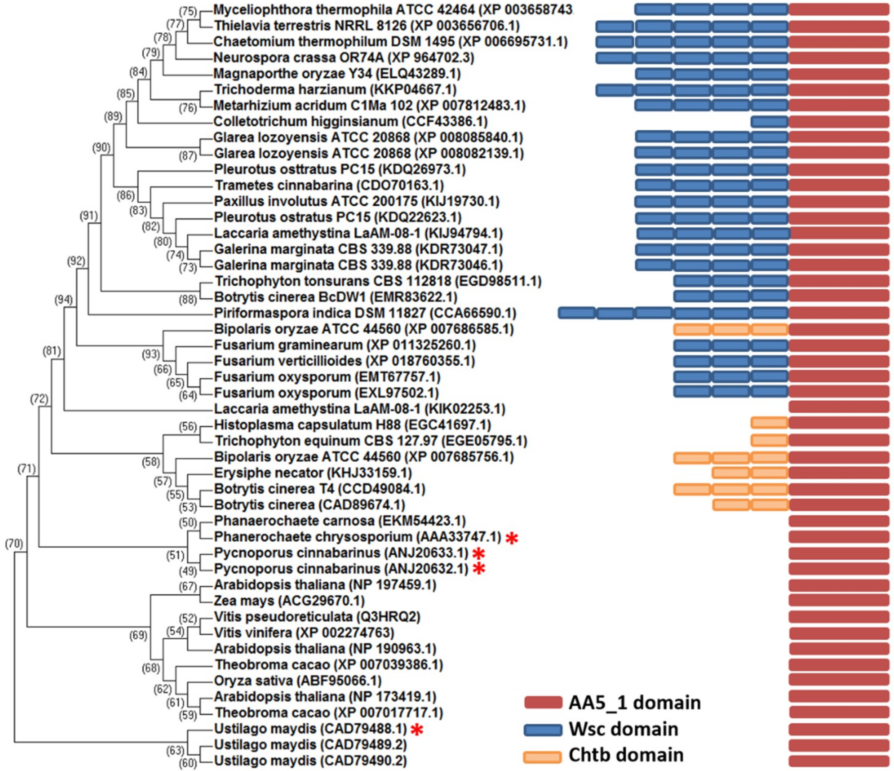 Catalysts 08 00476 g001 Catalysts 08 00476 g001