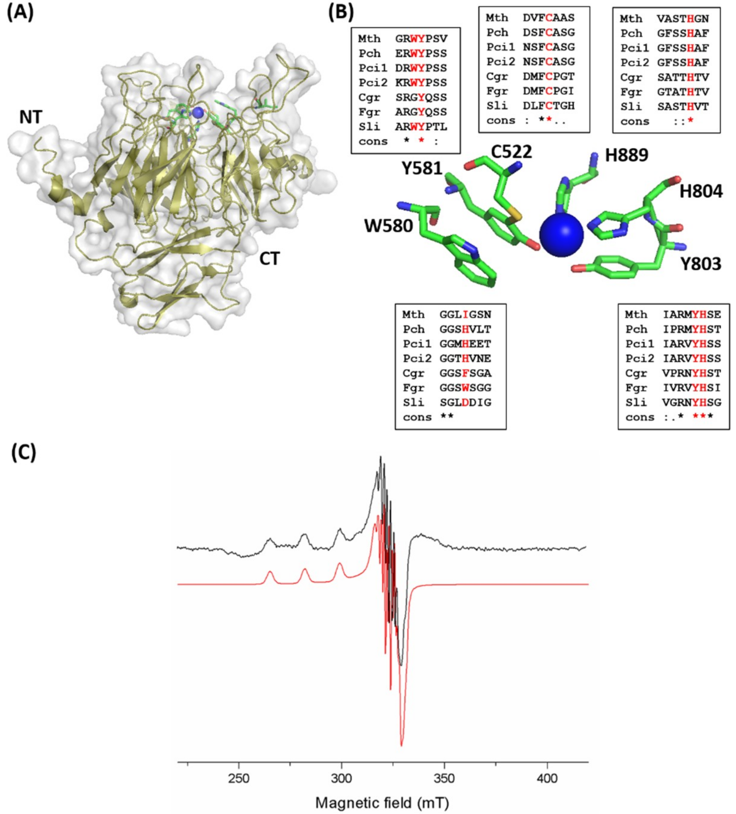 Catalysts 08 00476 g004 Catalysts 08 00476 g004