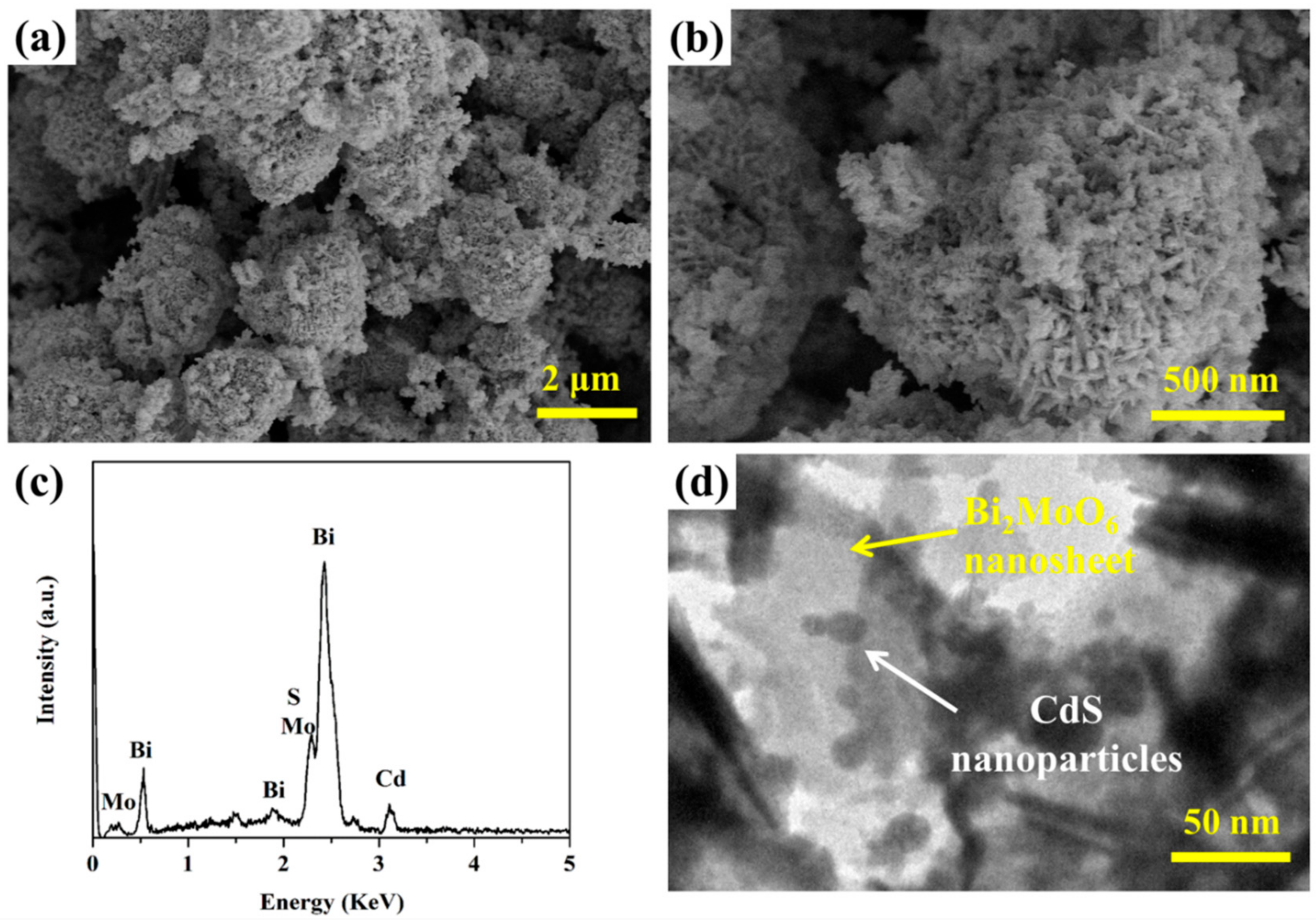 Catalysts 08 00477 g002 550