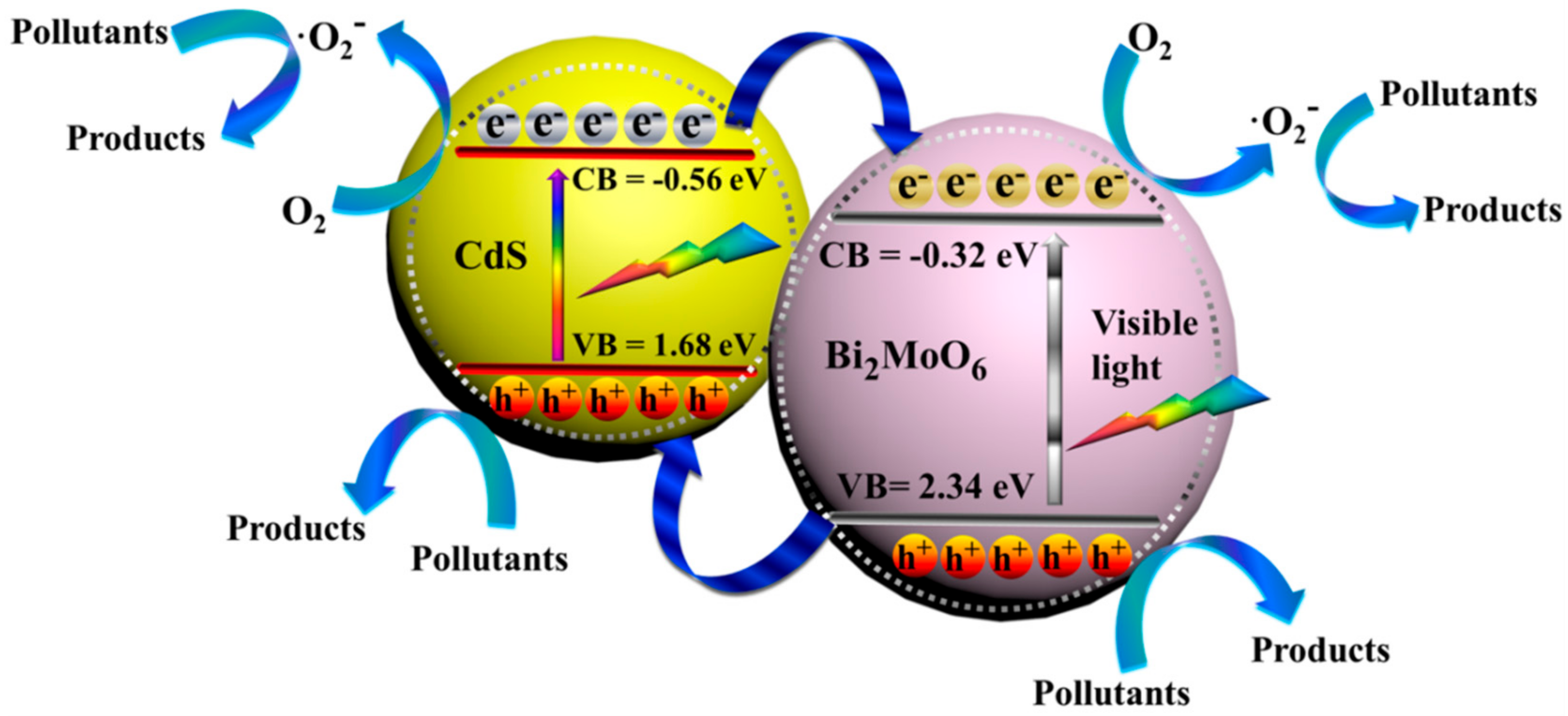 Catalysts 08 00477 g008 550