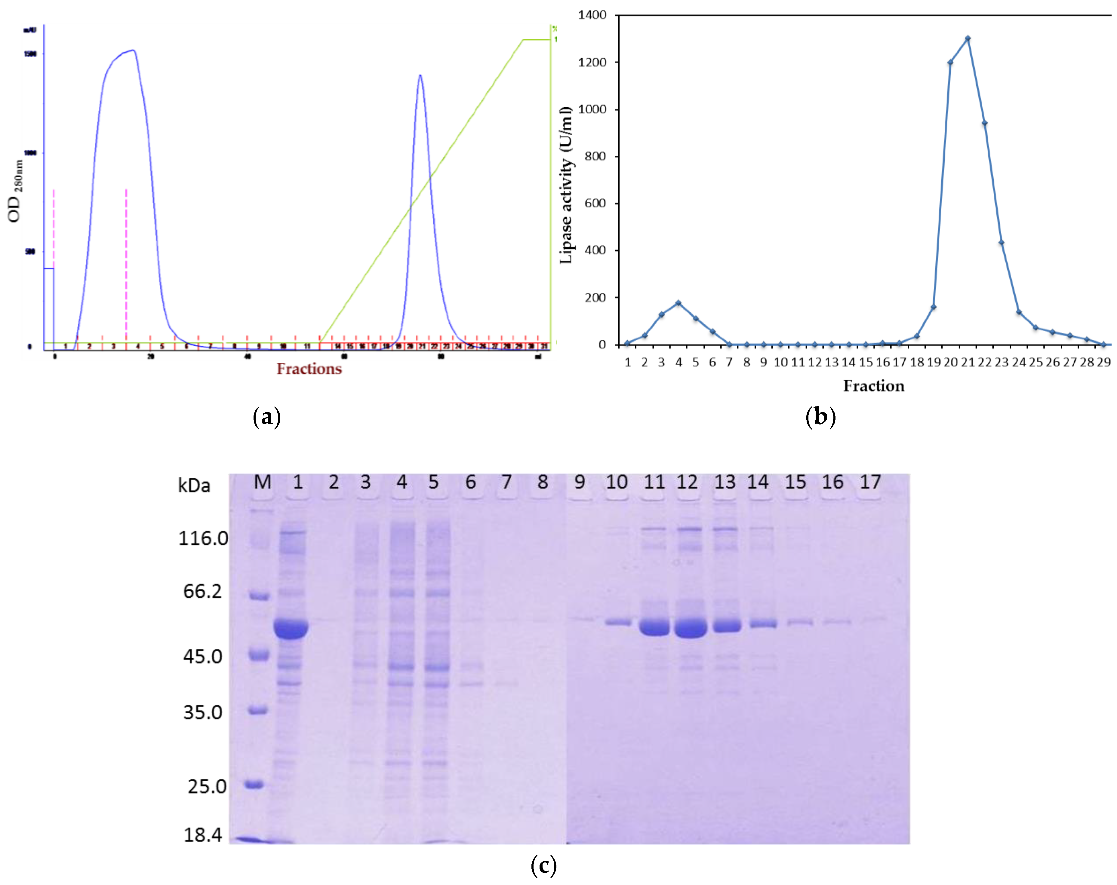 Catalysts 08 00479 g001 Catalysts 08 00479 g001