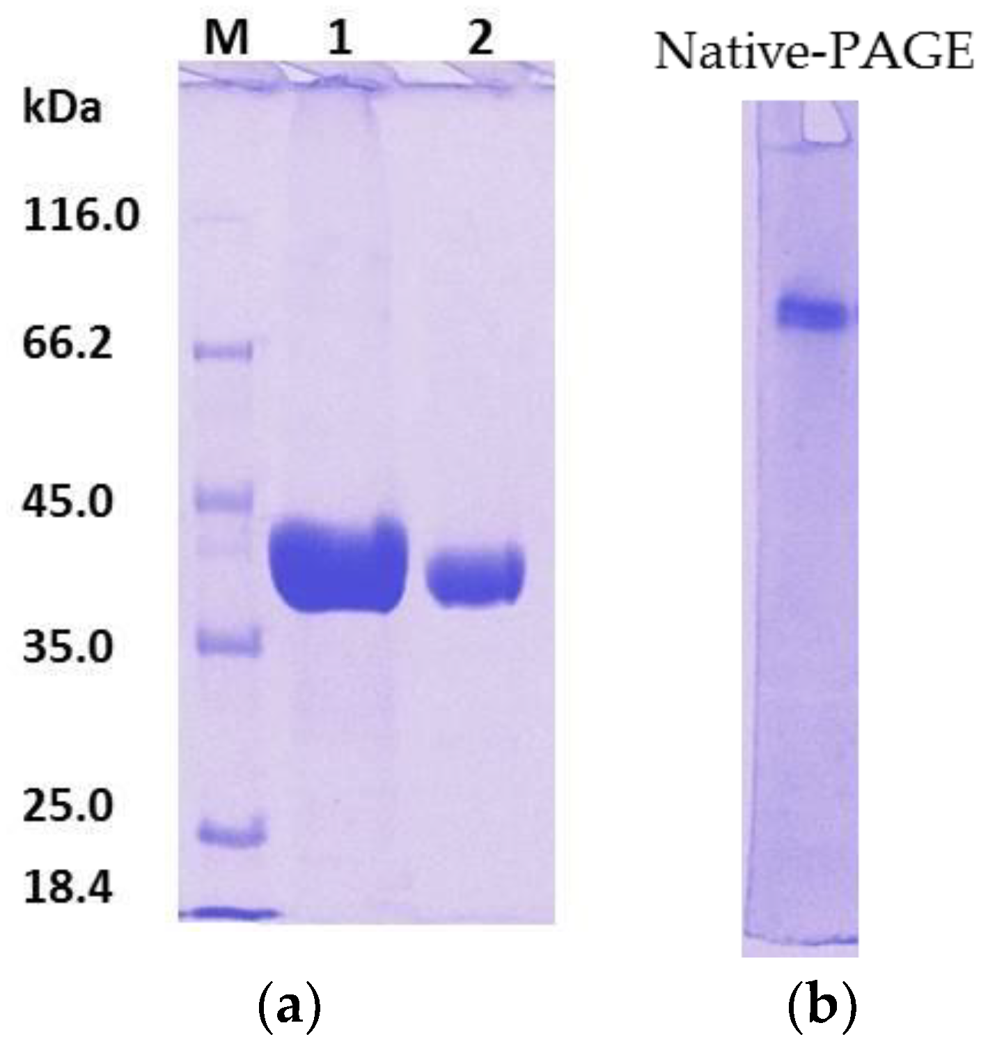 Catalysts 08 00479 g003 Catalysts 08 00479 g003