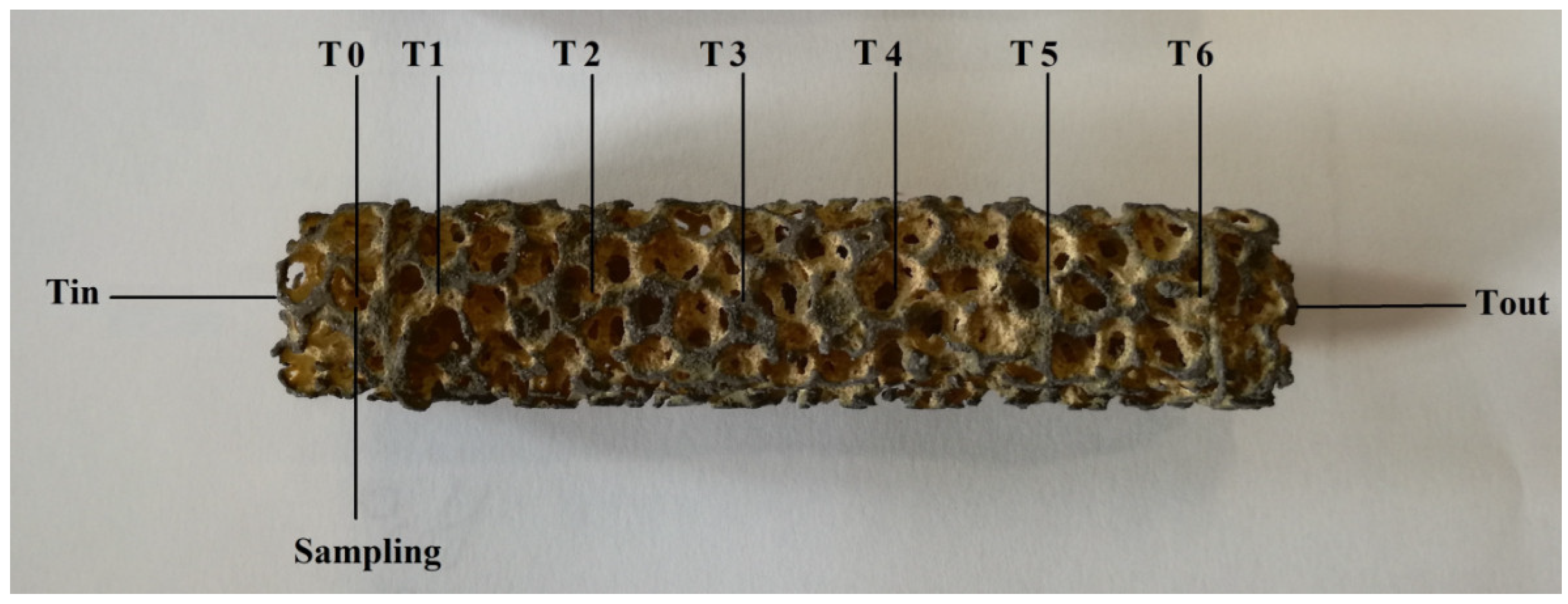 Catalysts 08 00489 g004 Catalysts 08 00489 g004
