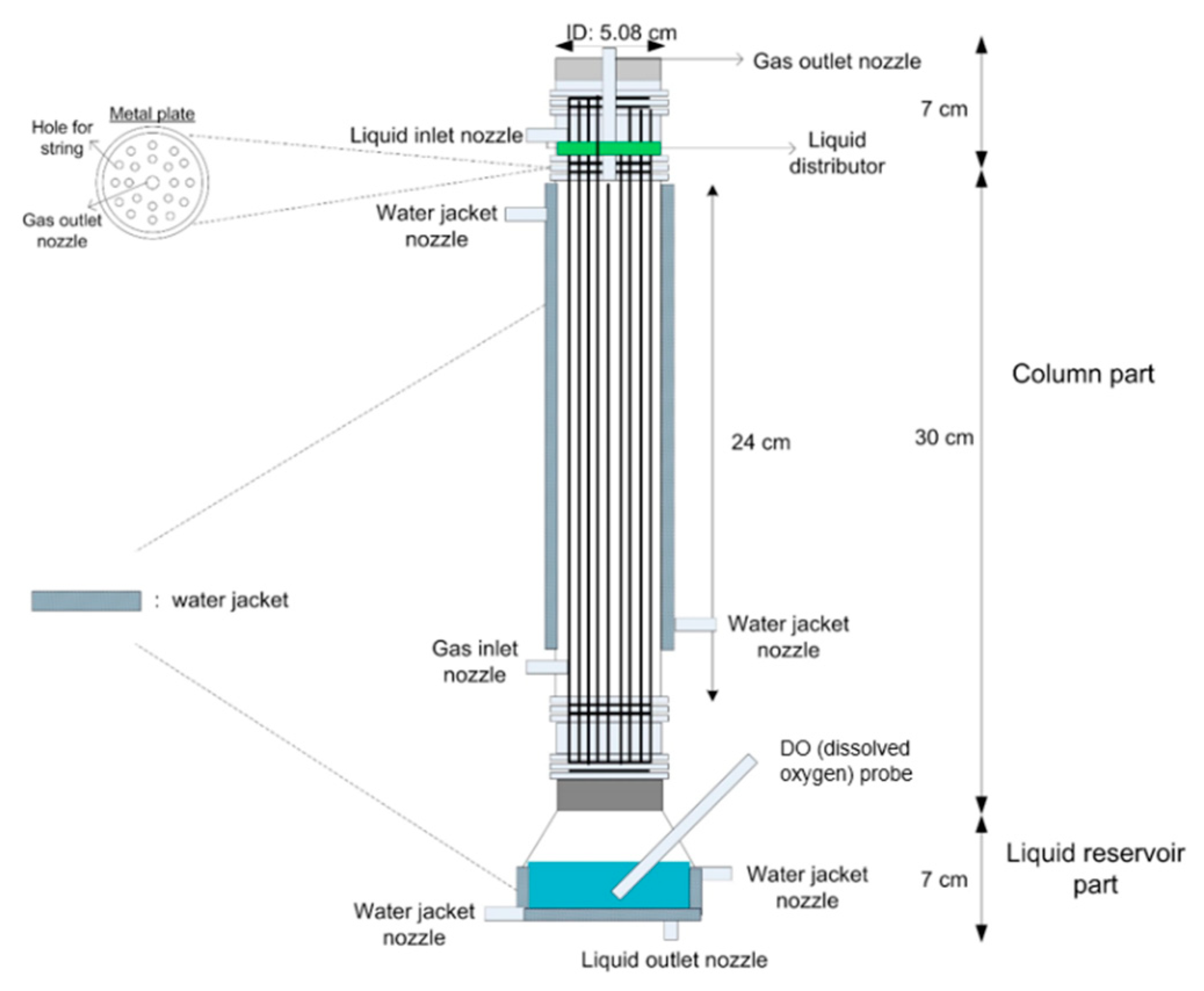 Catalysts 08 00490 g006