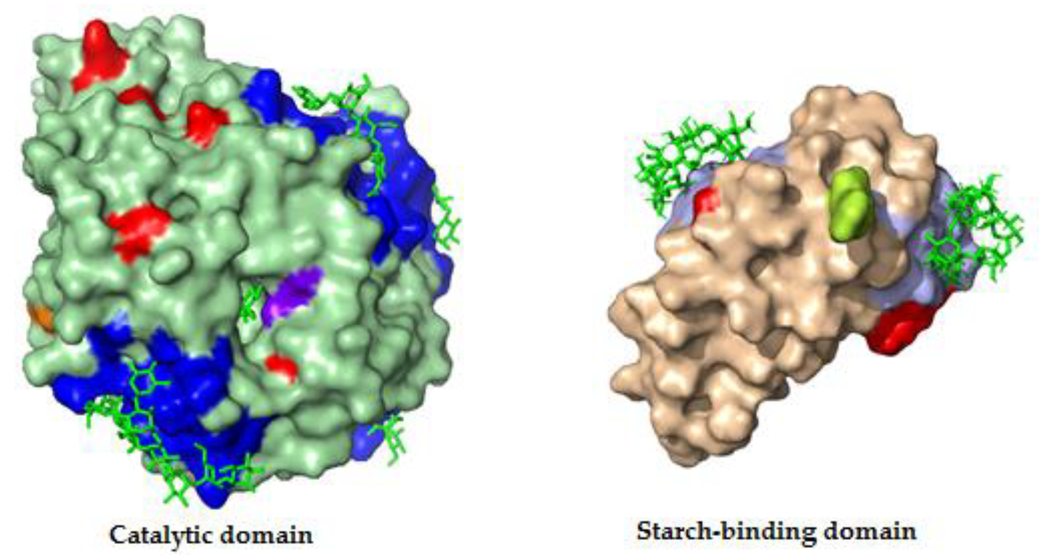 Catalysts 08 00496 g001 Catalysts 08 00496 g001