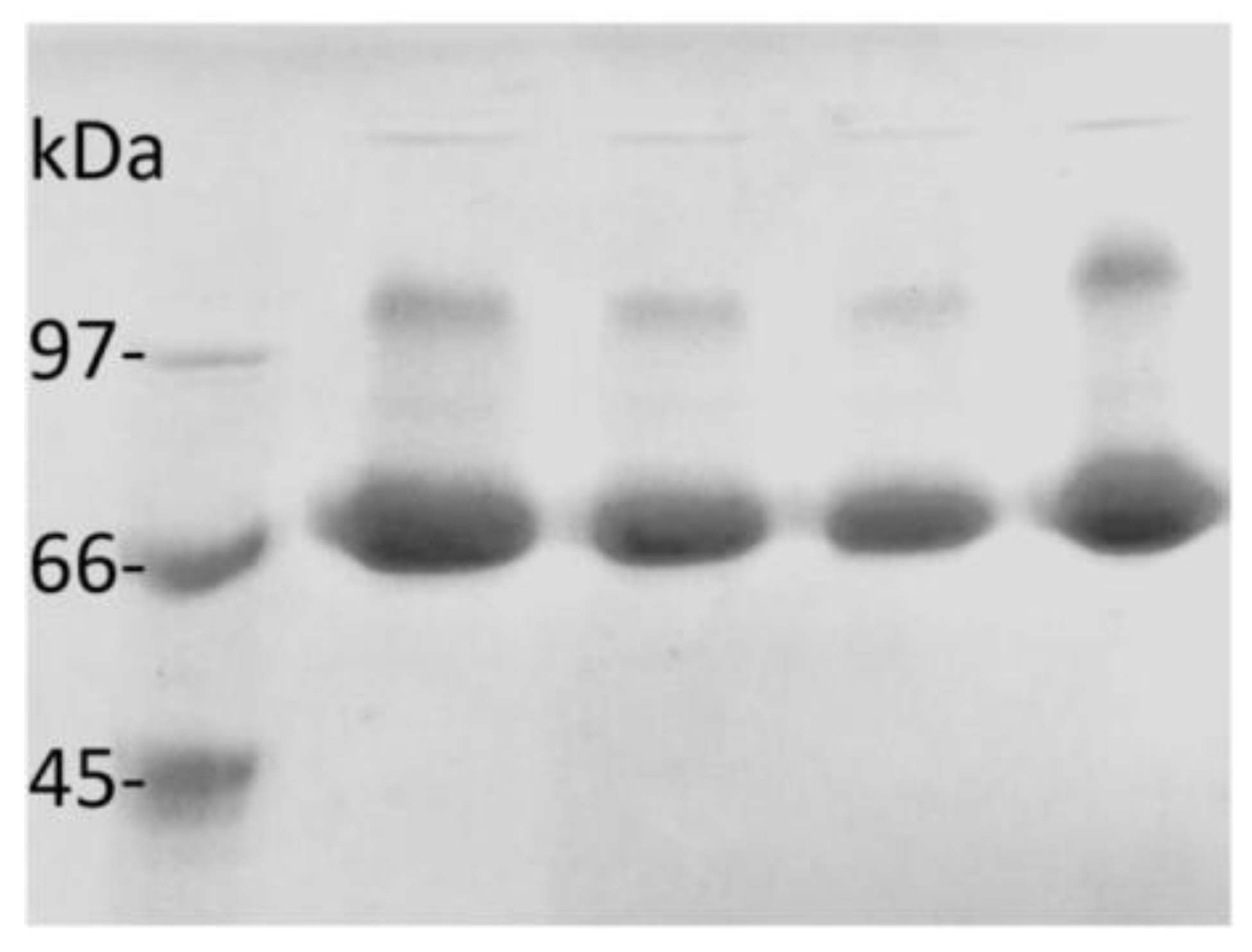 Catalysts 08 00496 g002 Catalysts 08 00496 g002