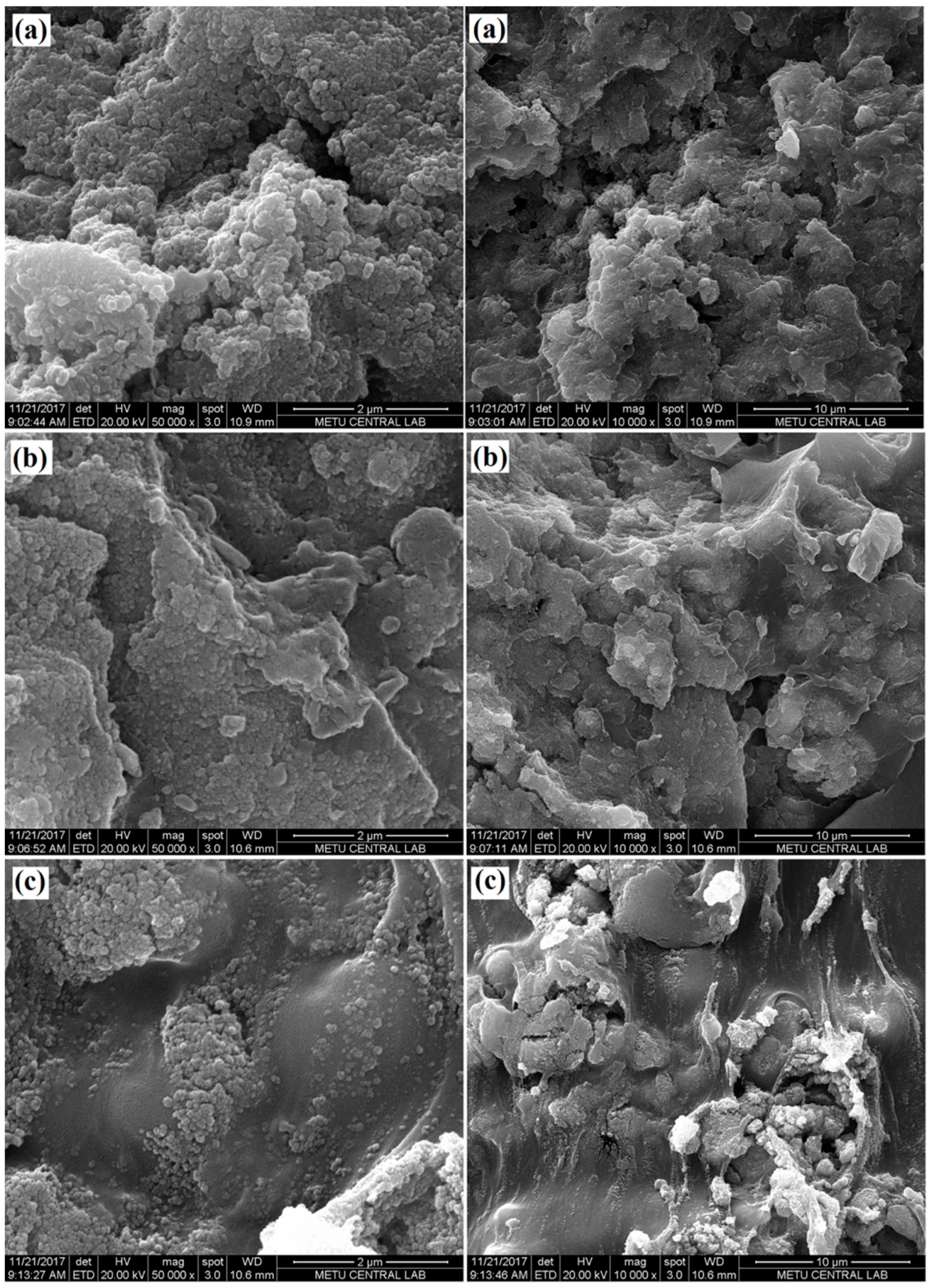 Catalysts 08 00499 g003 550