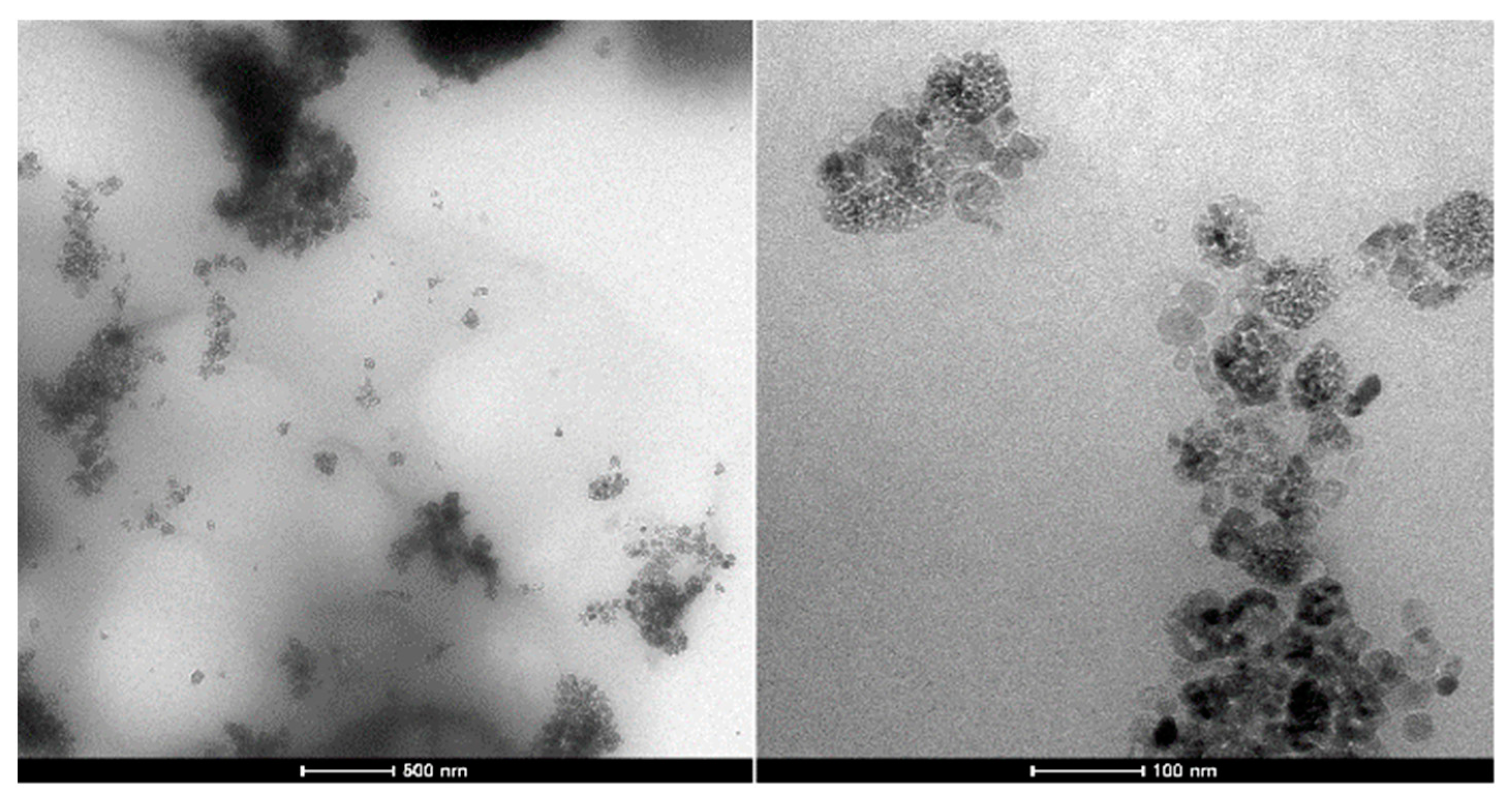 Catalysts 08 00499 g004 550