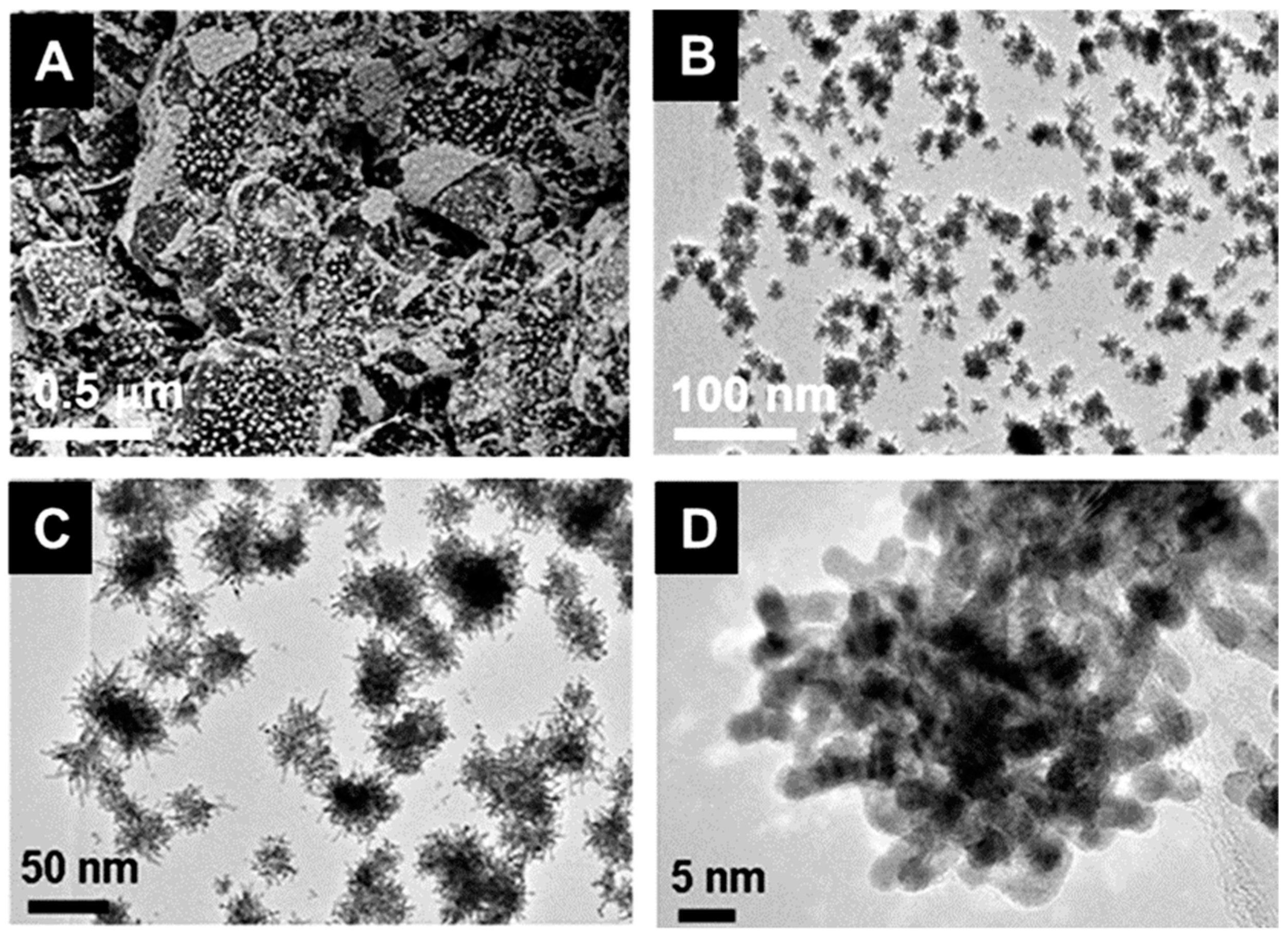Catalysts 08 00519 g003