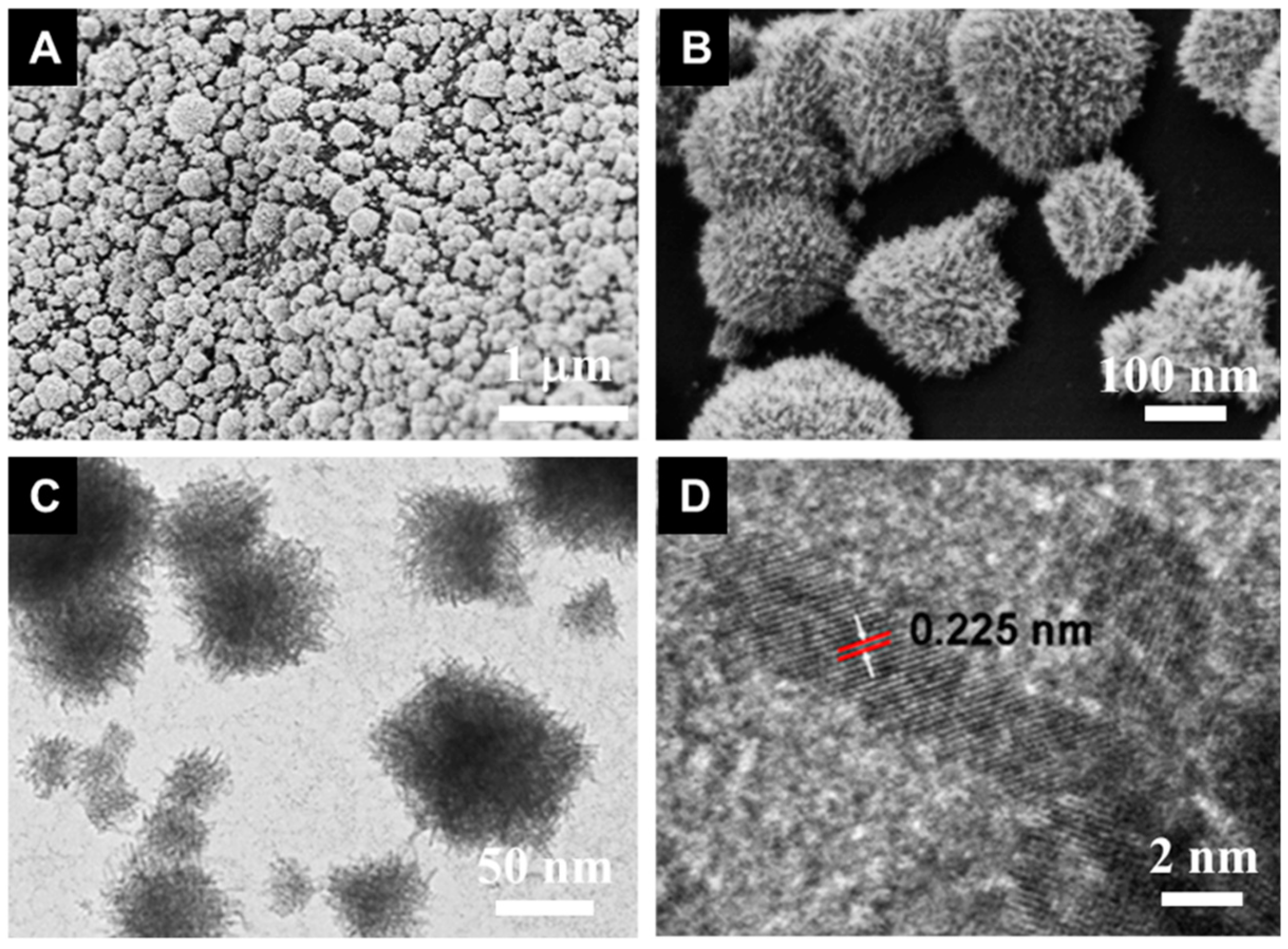 Catalysts 08 00519 g004
