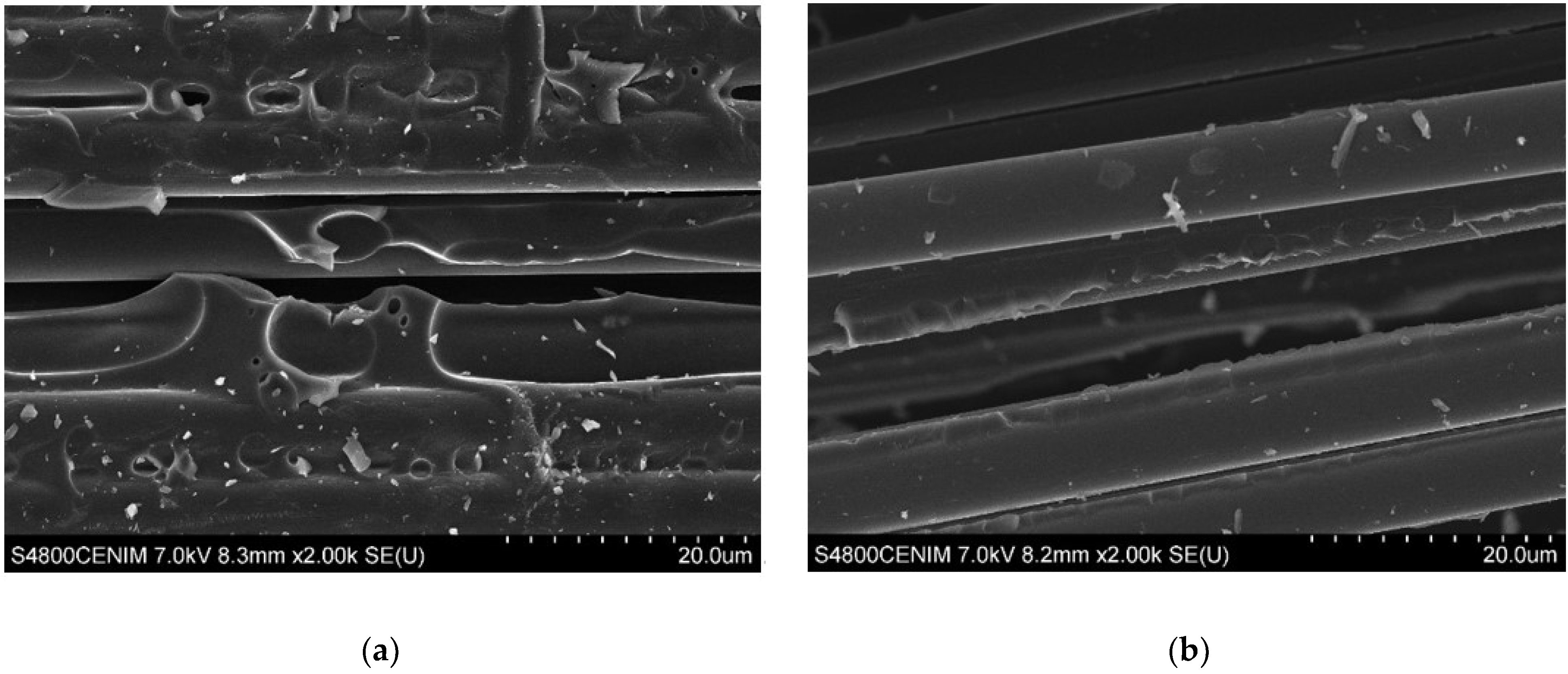 Catalysts 08 00523 g002