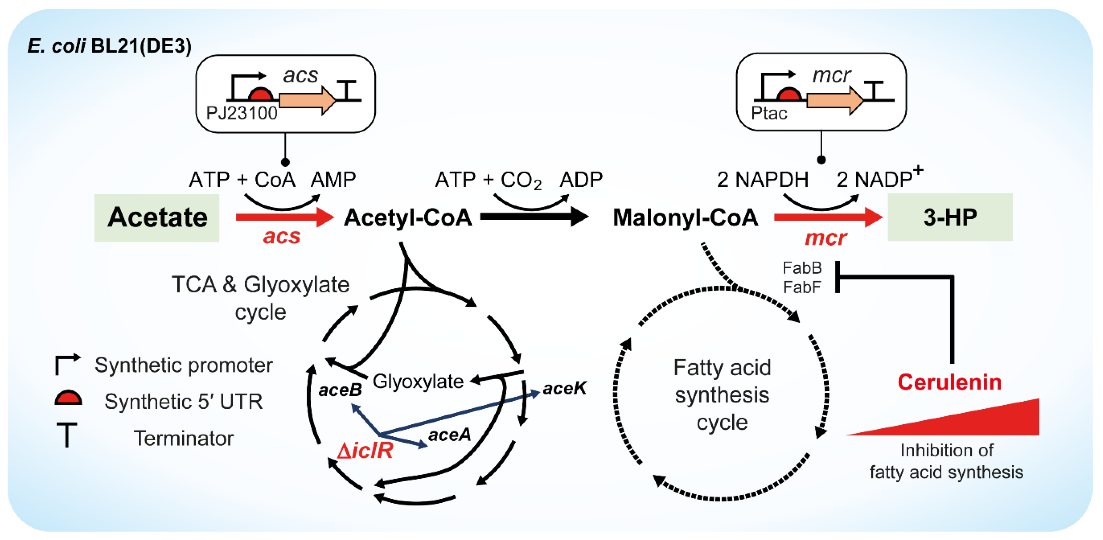 Catalysts 08 00525 g001