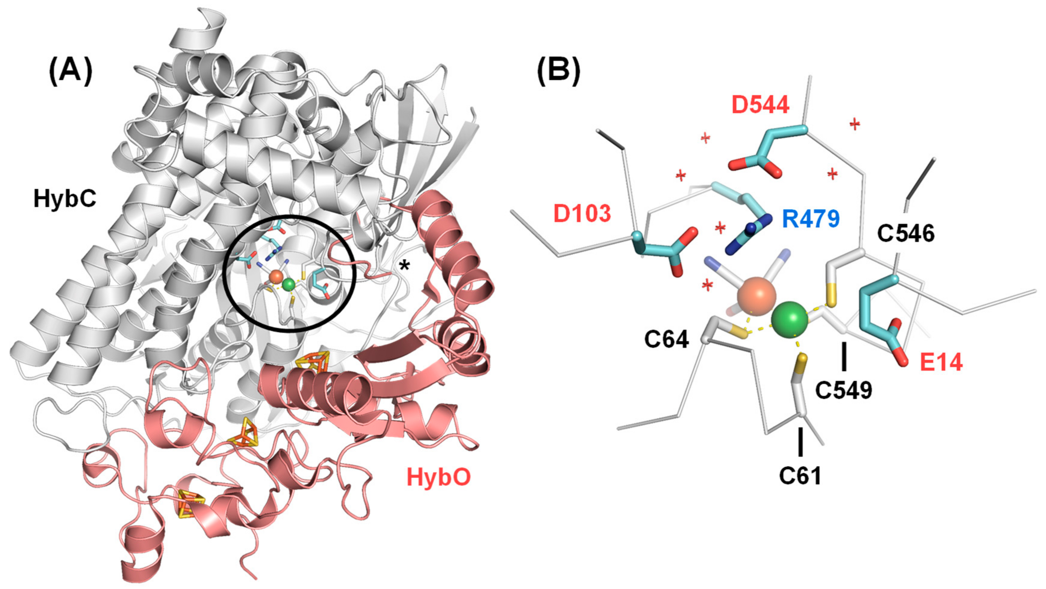 Catalysts 08 00530 g001