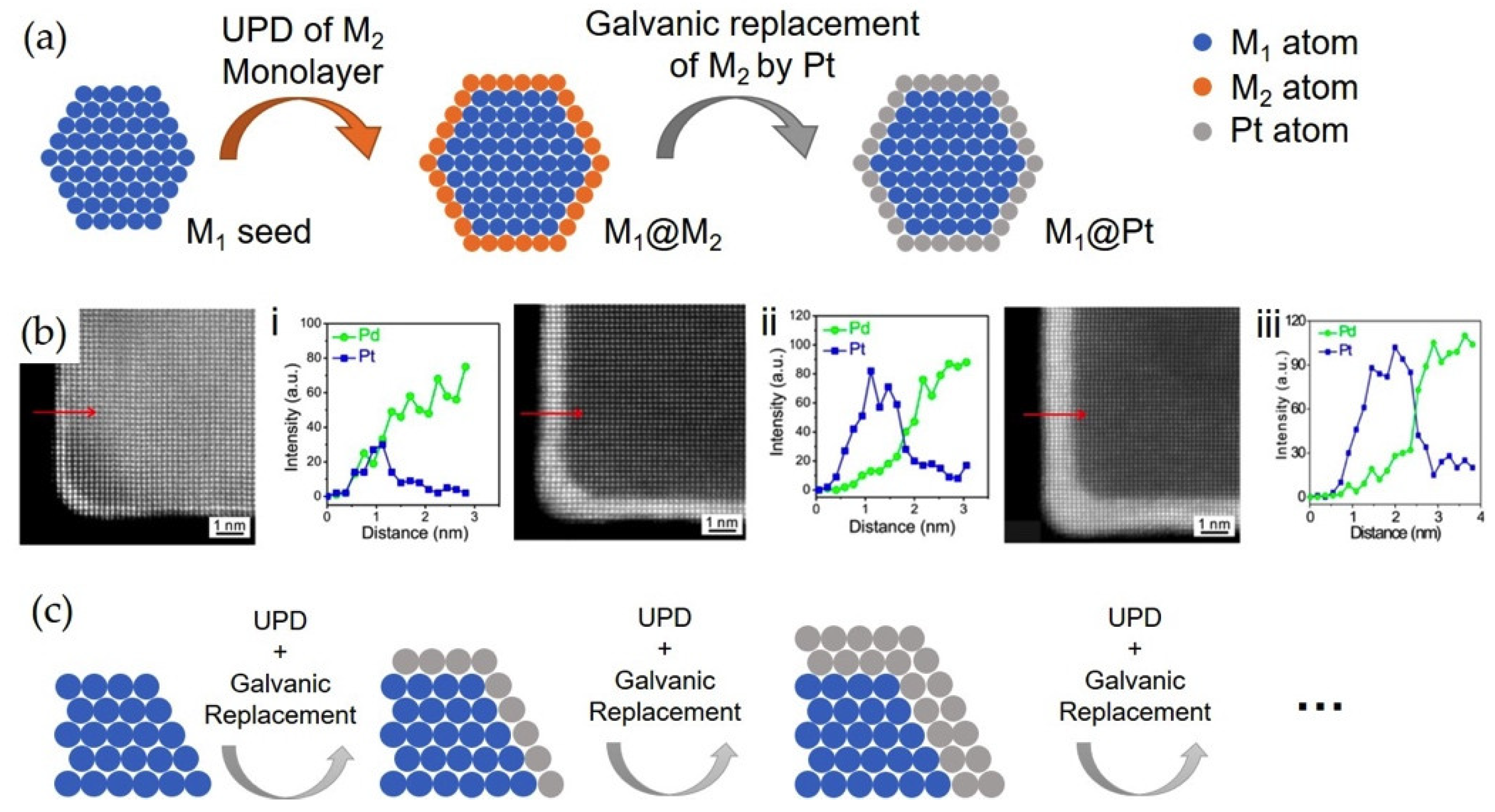 Catalysts 08 00538 g004