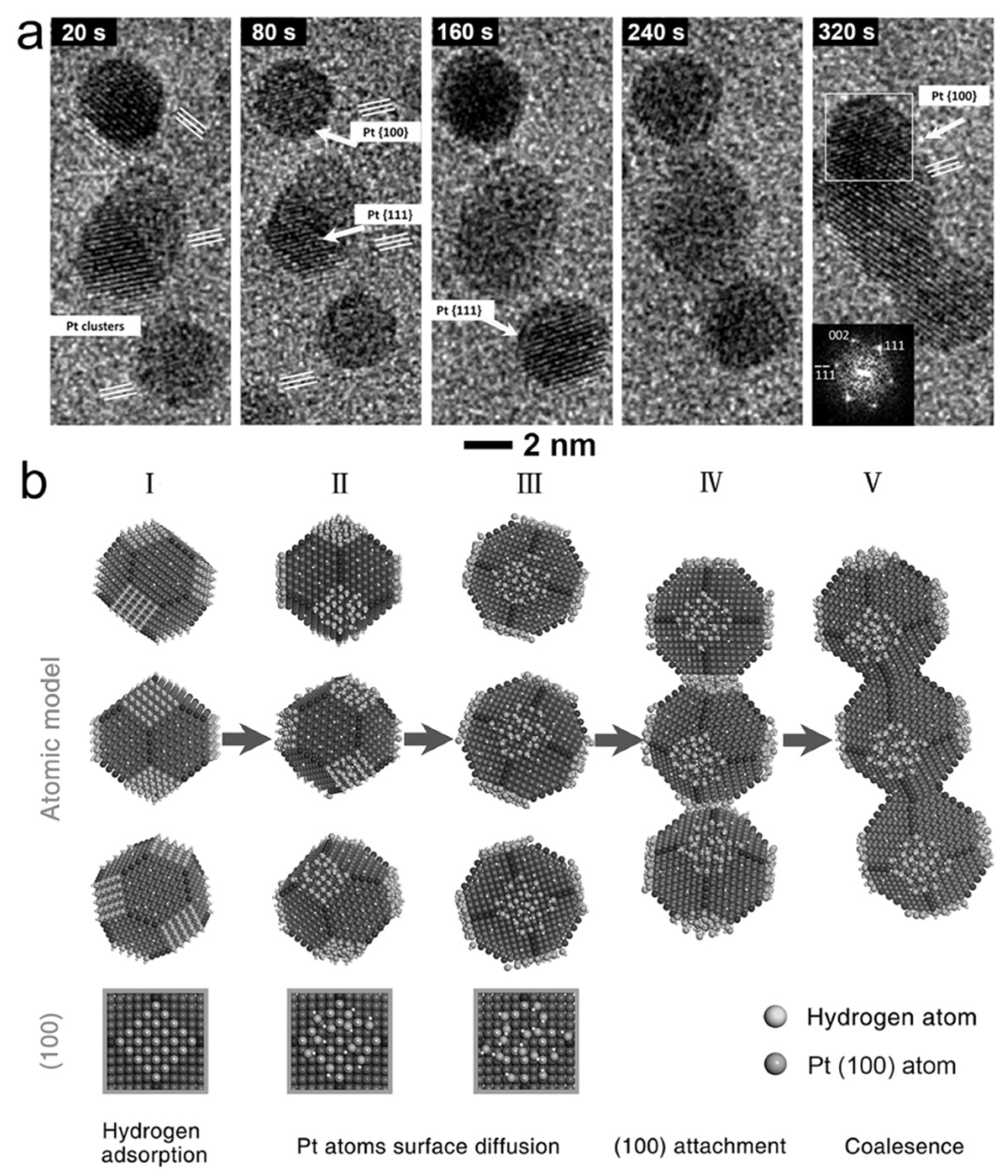 Catalysts 08 00538 g009