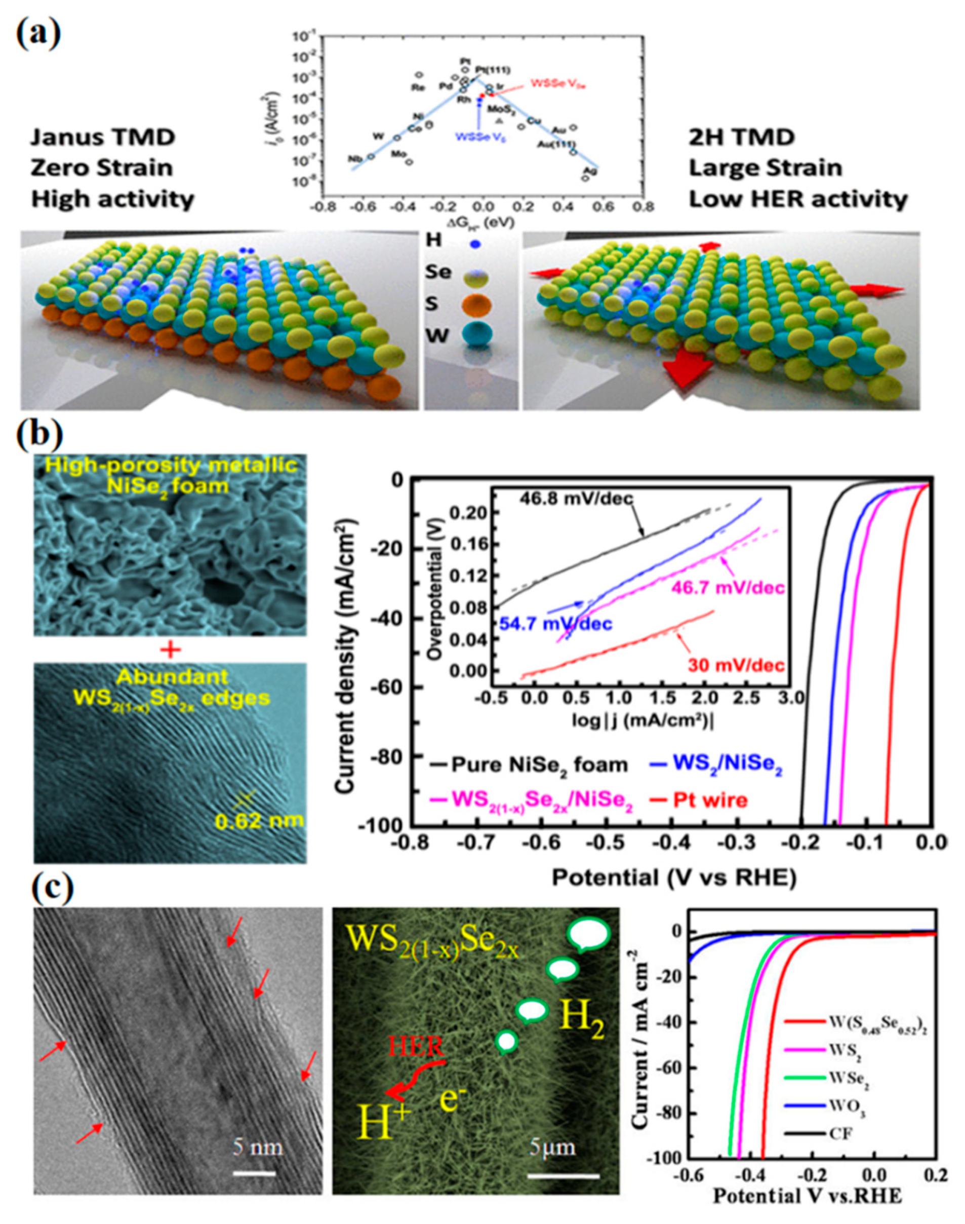 Catalysts 08 00551 g007 Catalysts 08 00551 g007