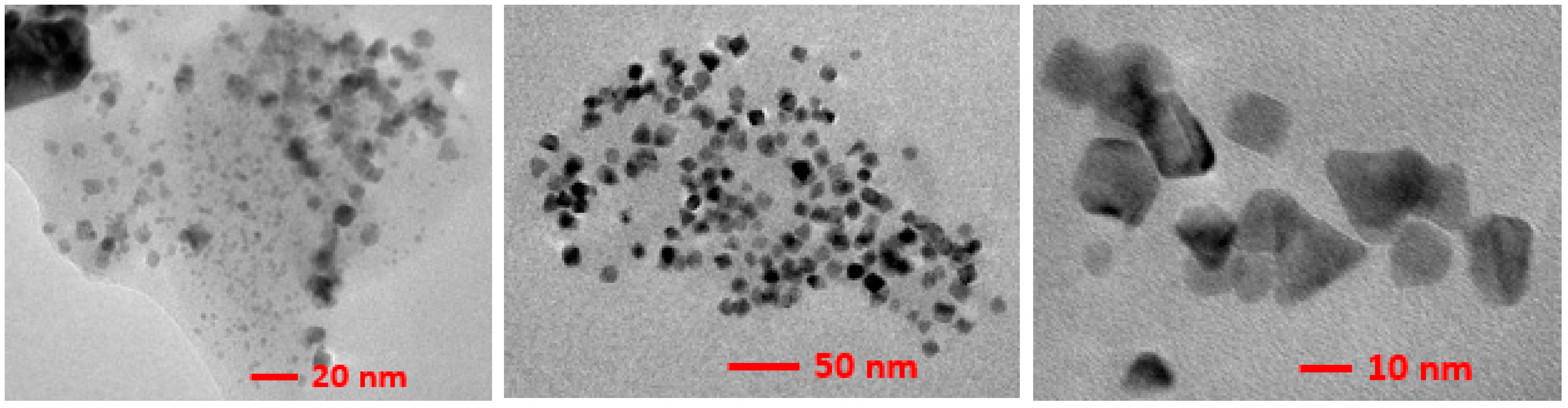 Catalysts 08 00552 g010