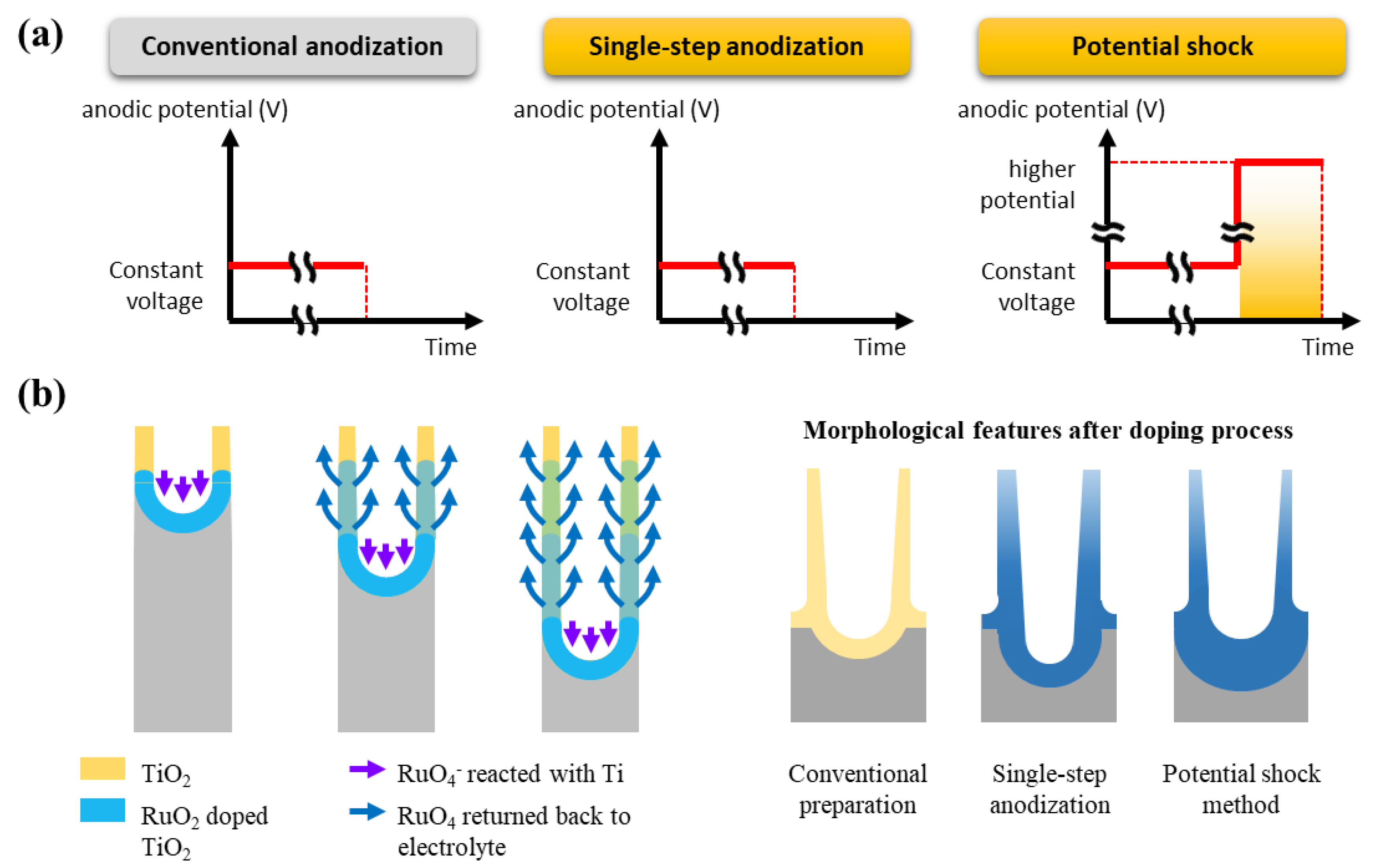 Catalysts 08 00555 g003 Catalysts 08 00555 g003