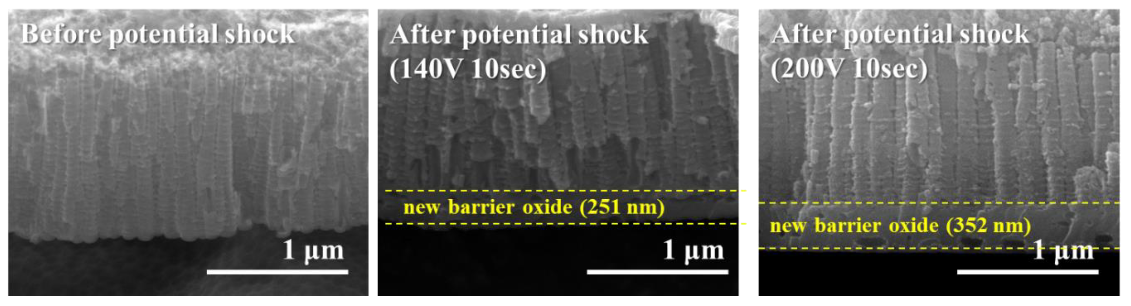 Catalysts 08 00555 g005 Catalysts 08 00555 g005