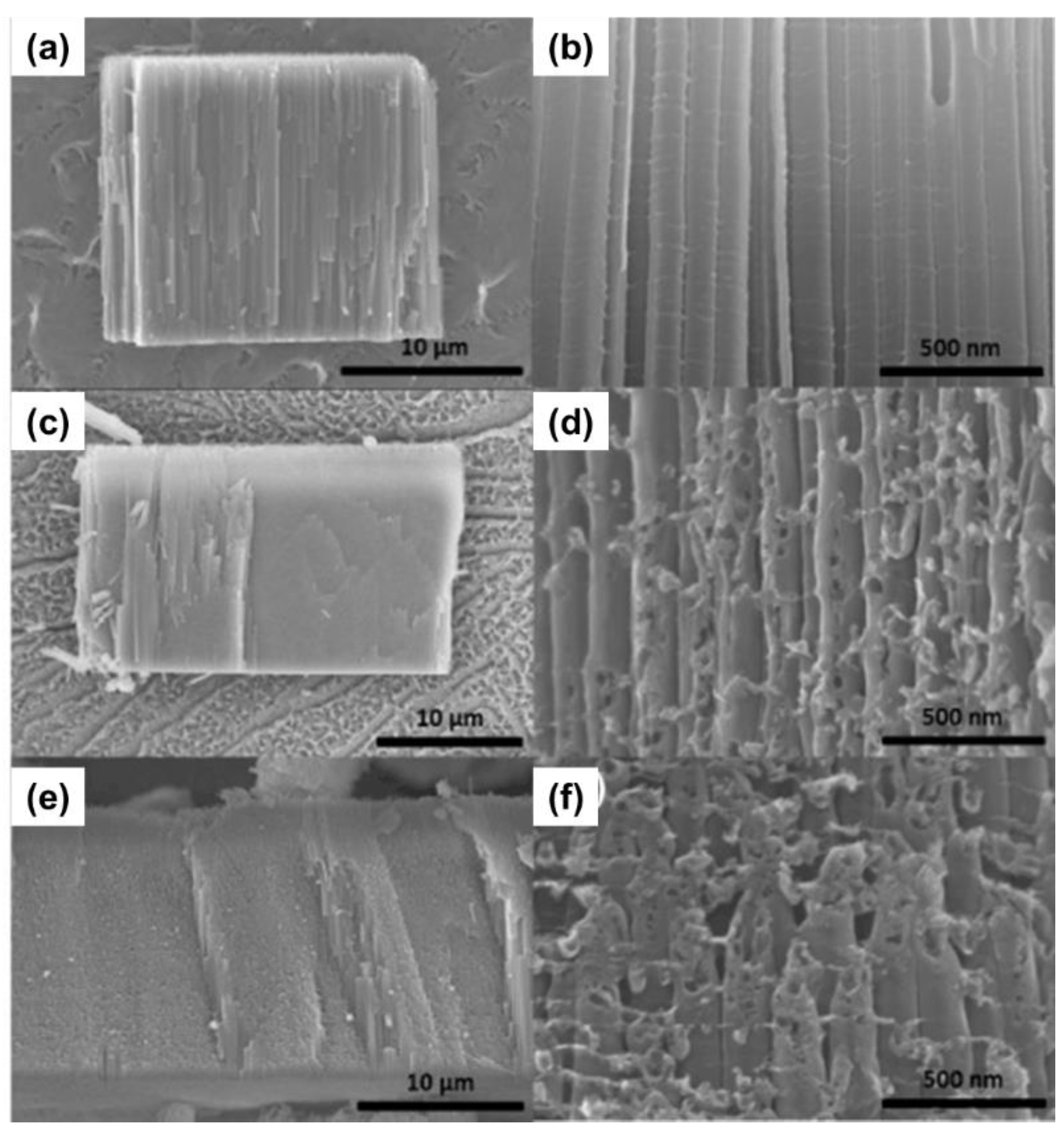 Catalysts 08 00555 g006 Catalysts 08 00555 g006