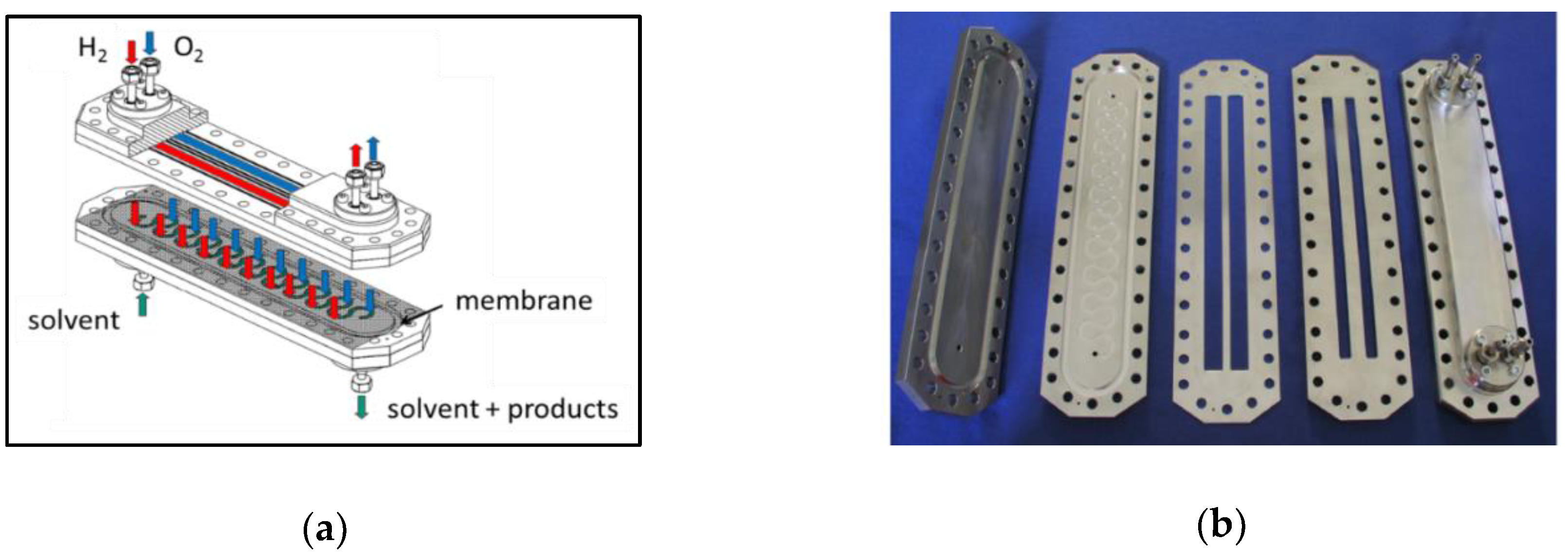 Catalysts 08 00556 g007