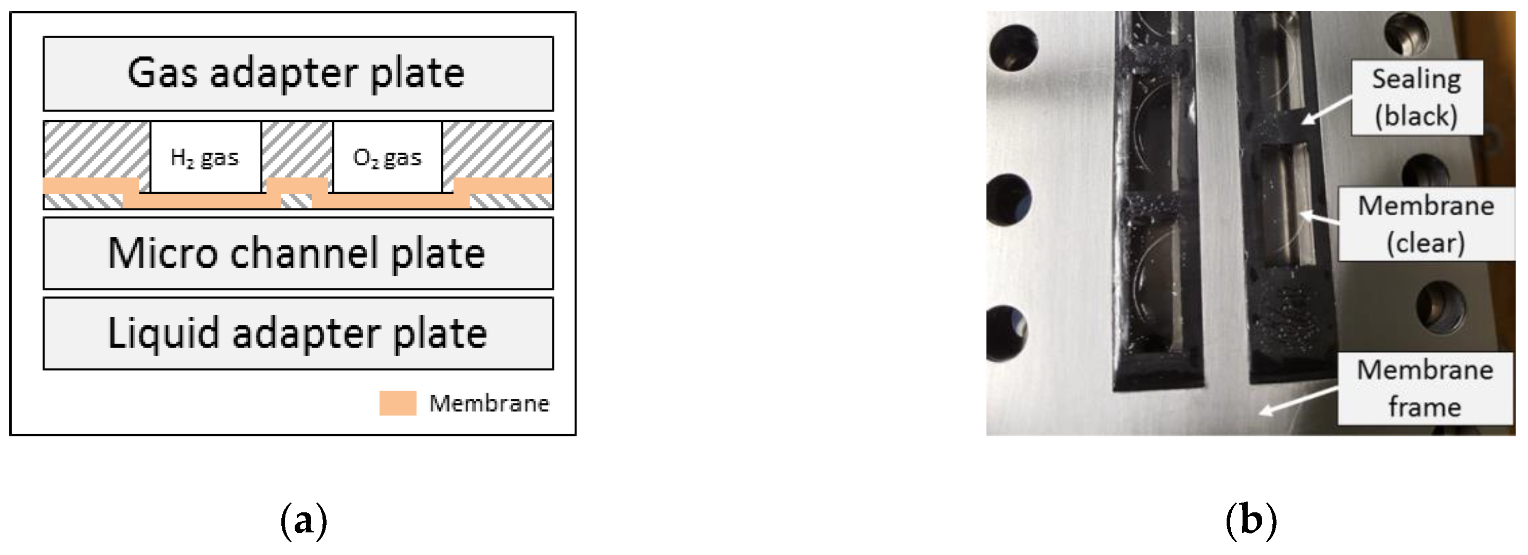 Catalysts 08 00556 g009