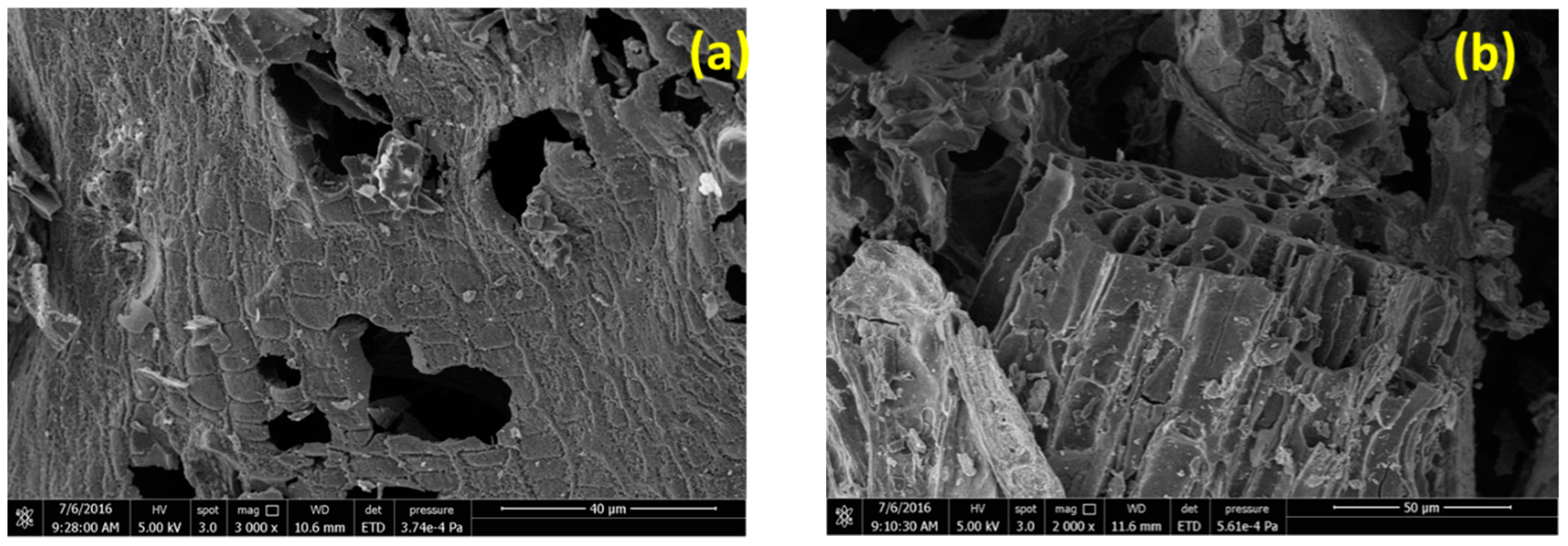 Catalysts 08 00562 g003