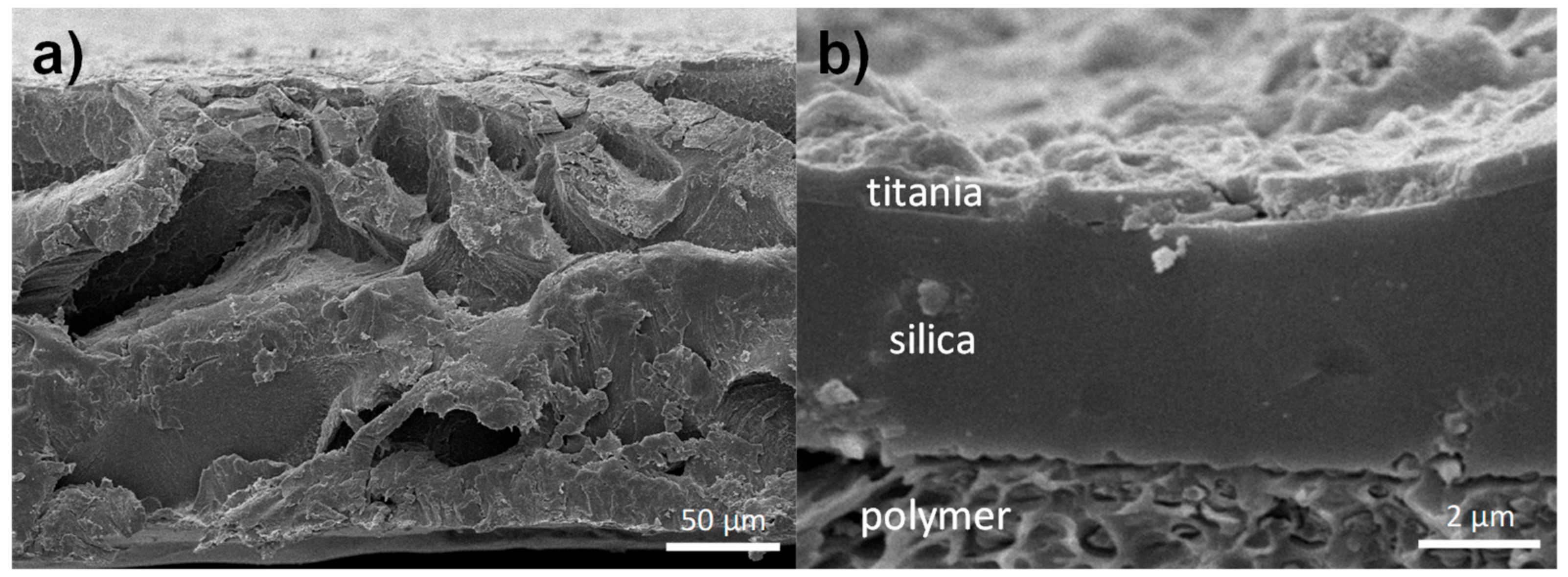 Catalysts 08 00568 g003 Catalysts 08 00568 g003