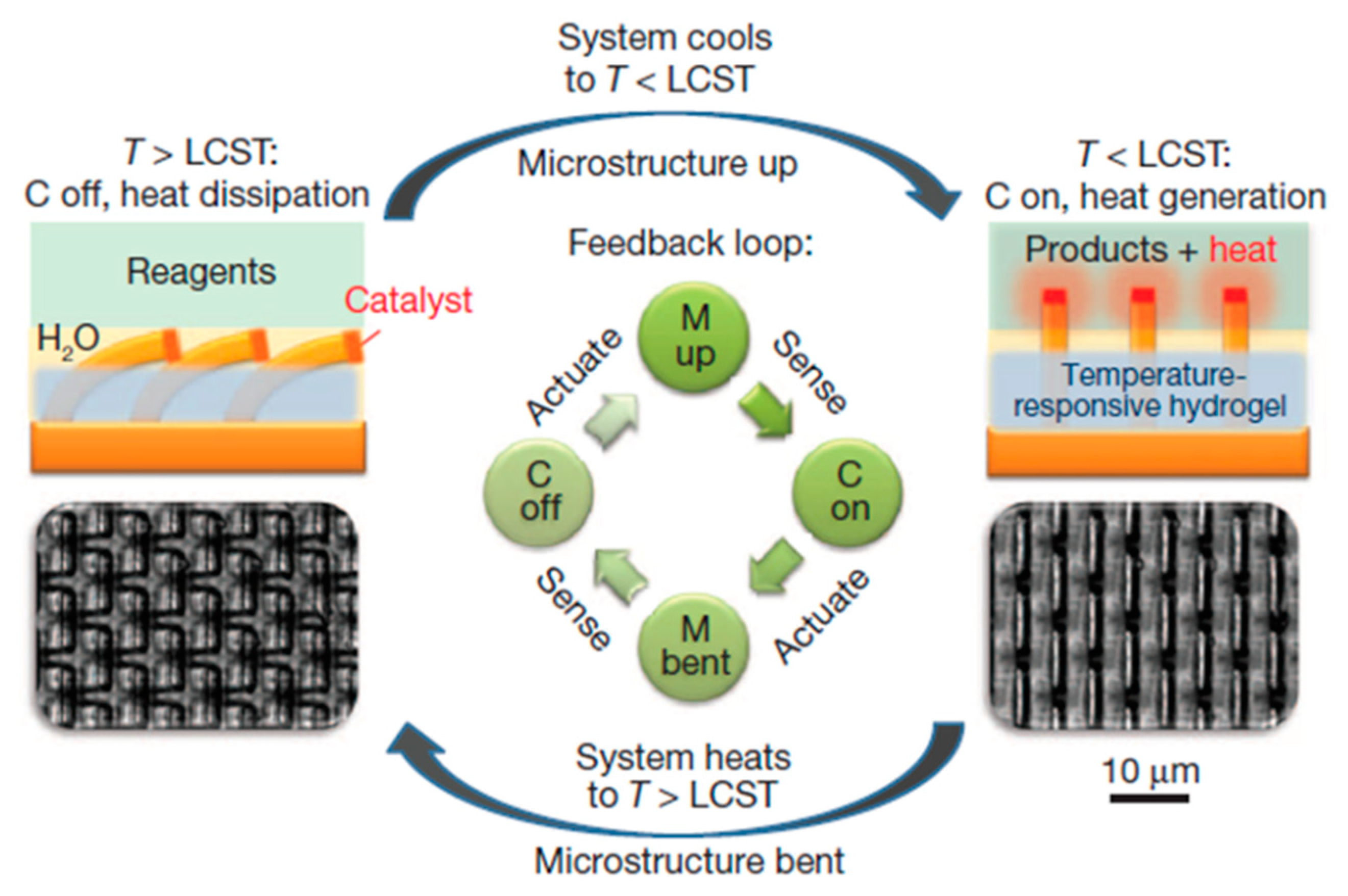 Catalysts 08 00569 g016