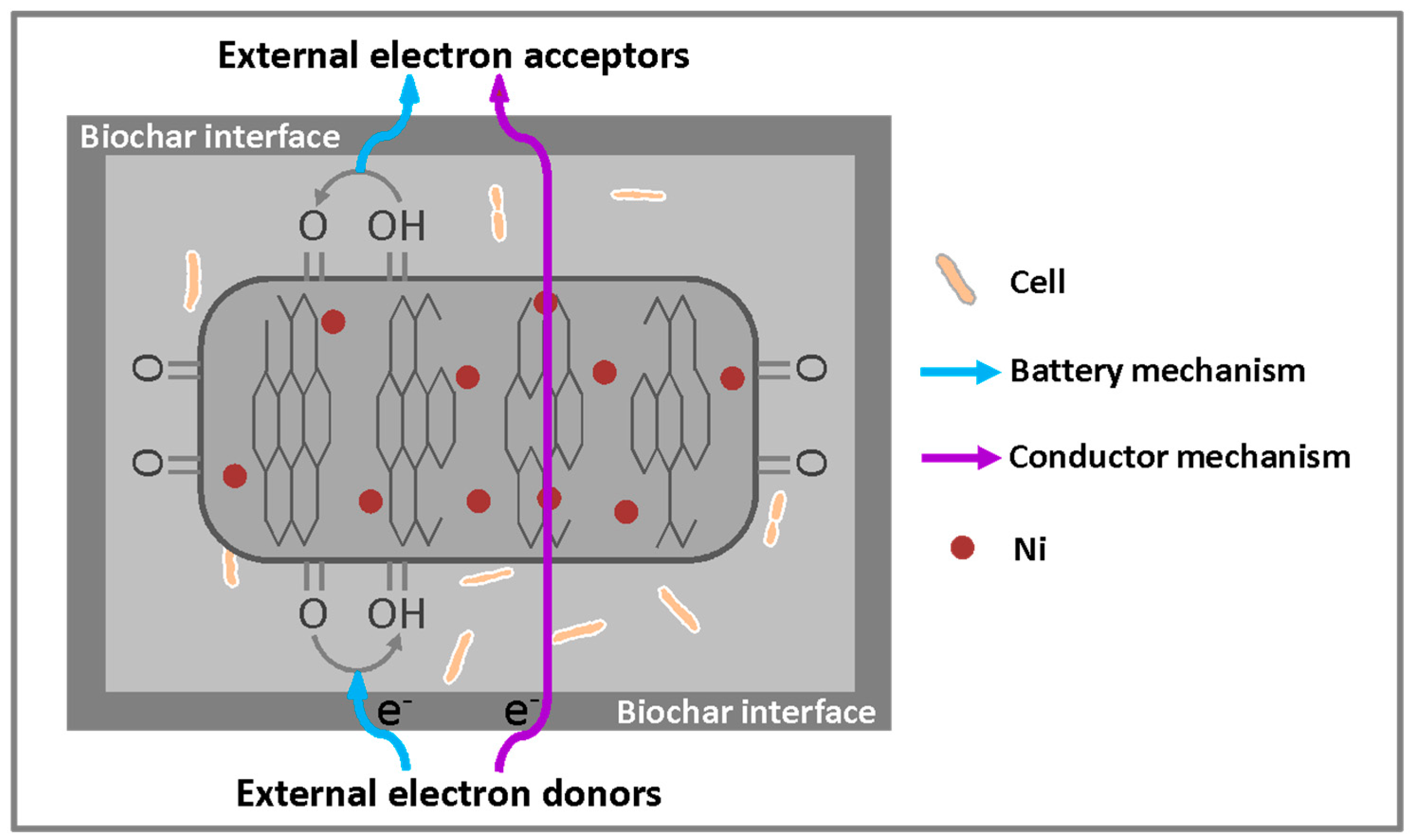 Catalysts 08 00573 g002