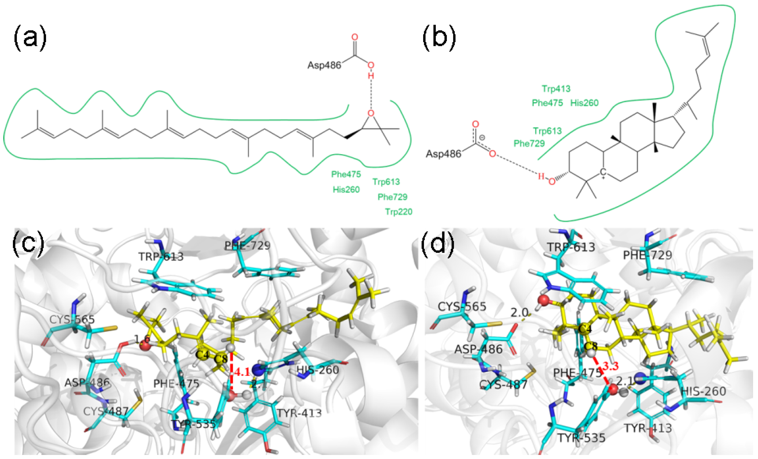 Catalysts 08 00577 g001