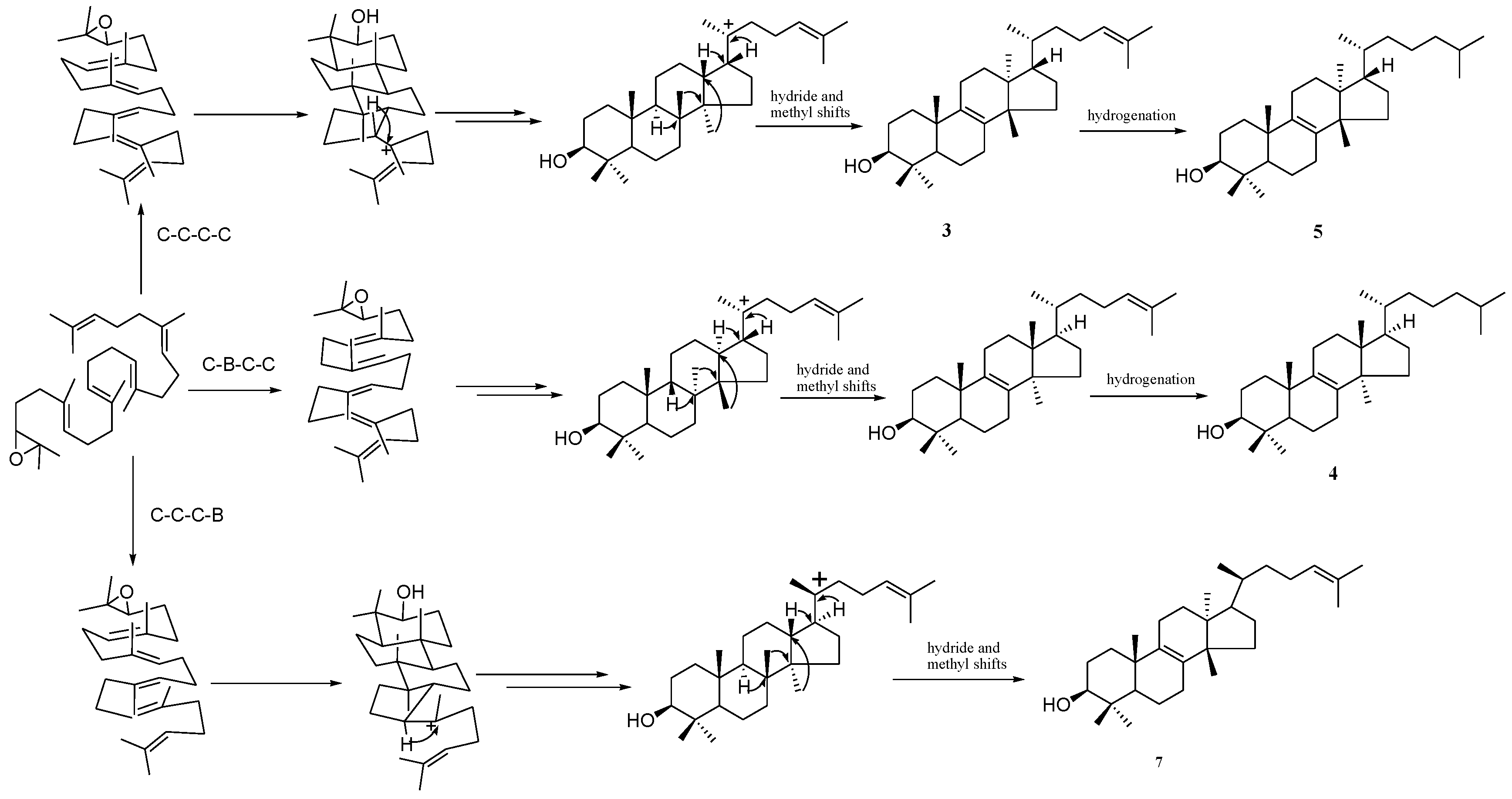 Catalysts 08 00577 g004