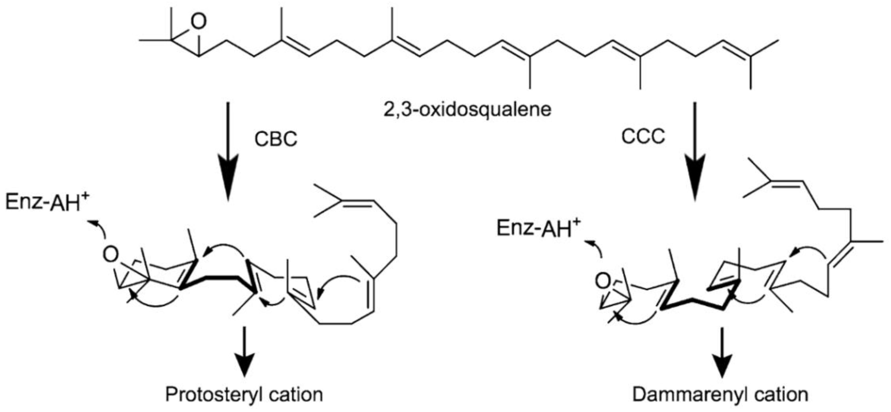 Catalysts 08 00577 g0a1