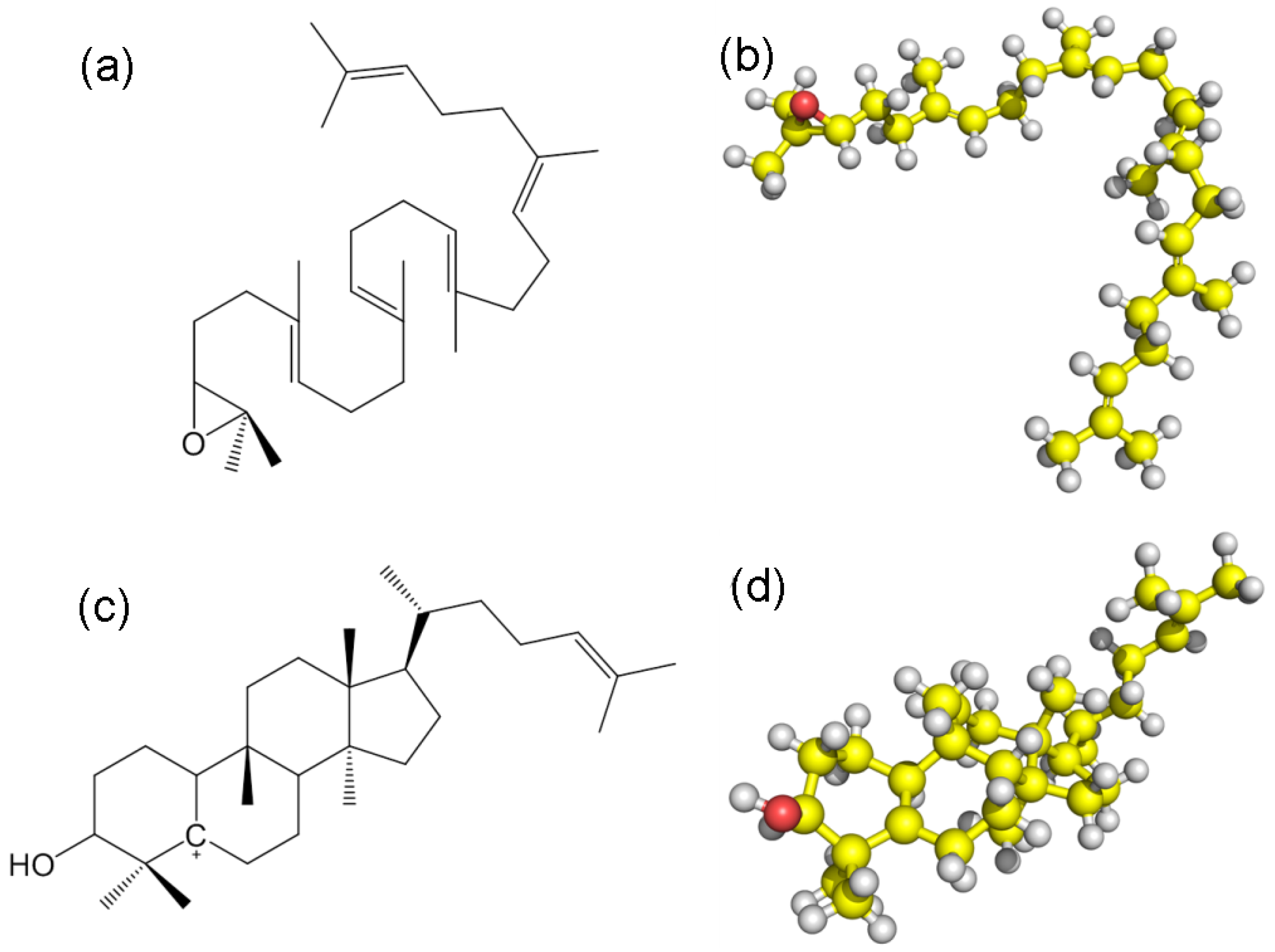 Catalysts 08 00577 g0a3
